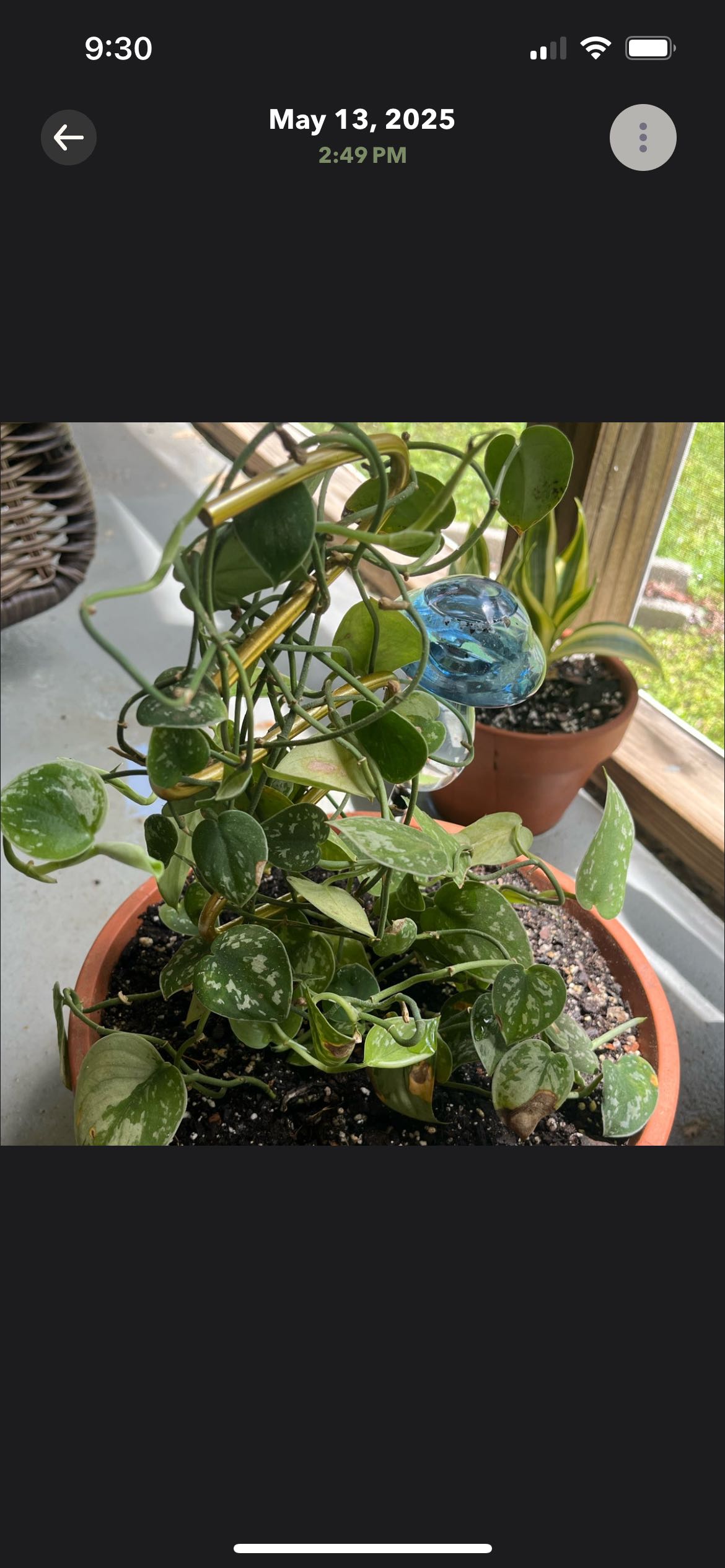 Photo from the post