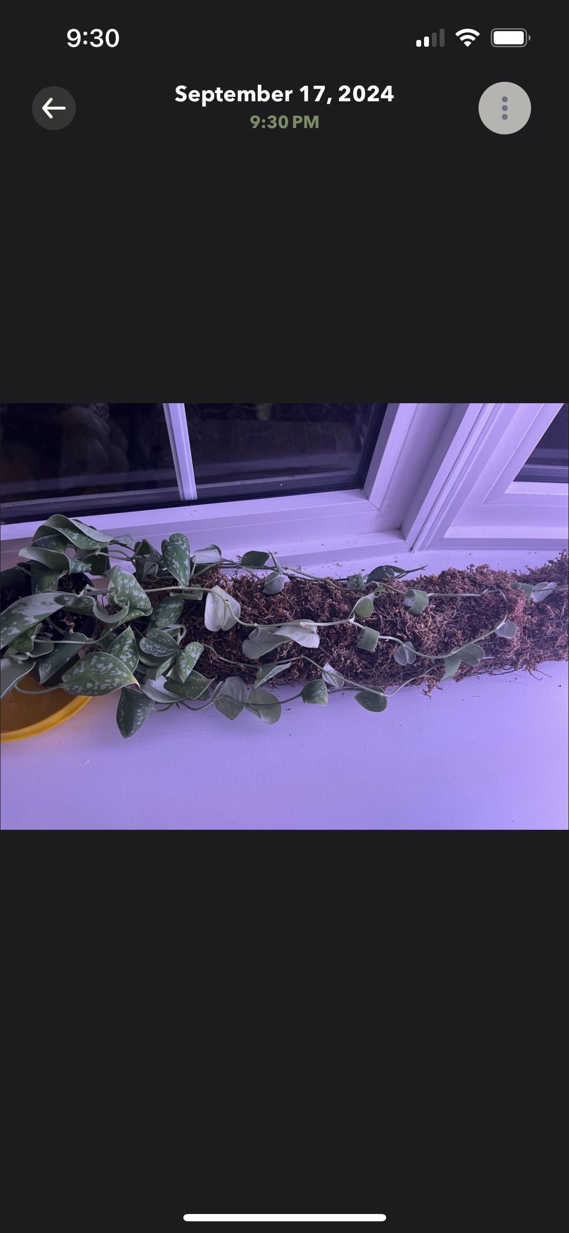 Photo from the post