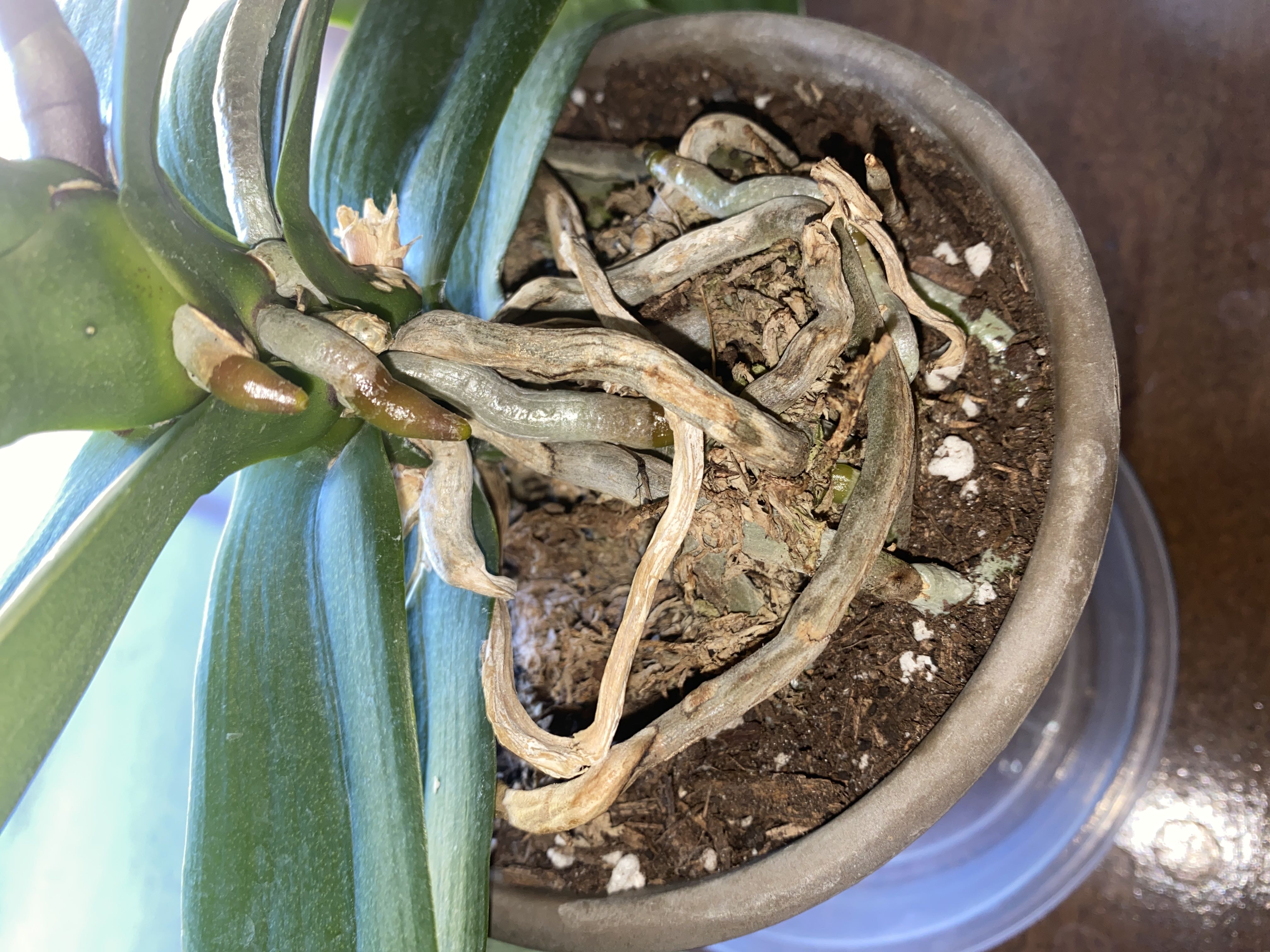 Photo from the post