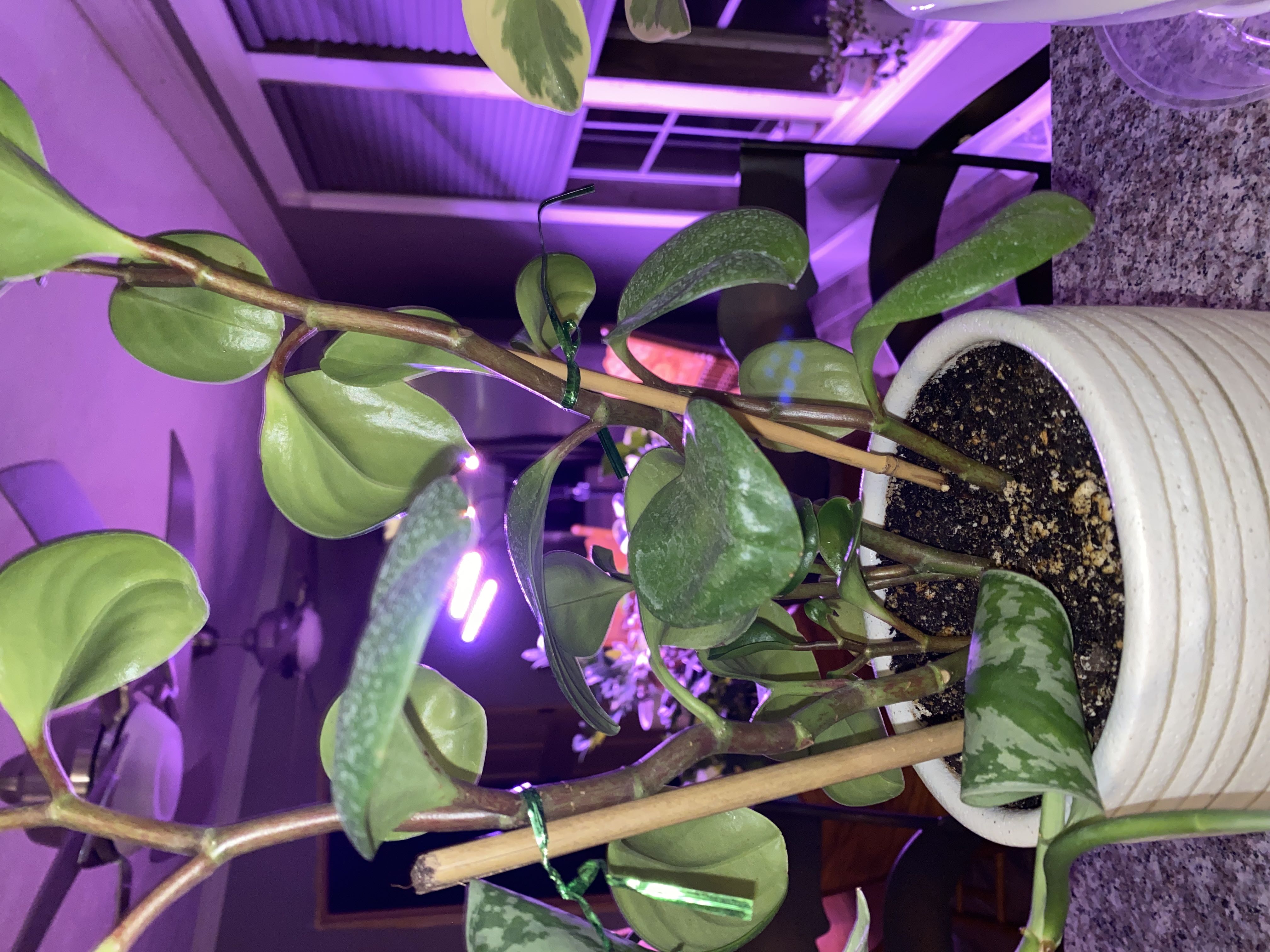 Photo from the post