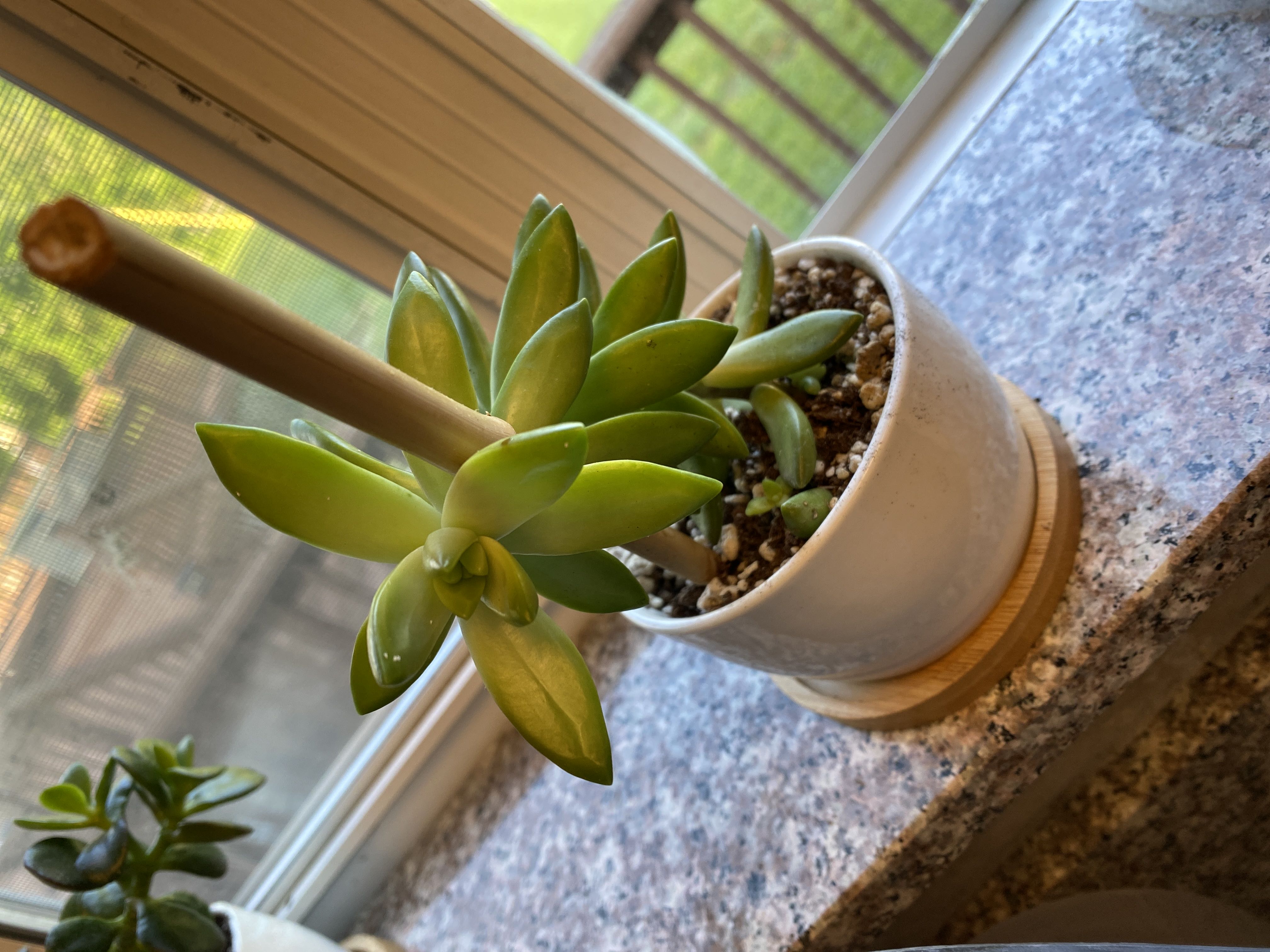 Photo from the post