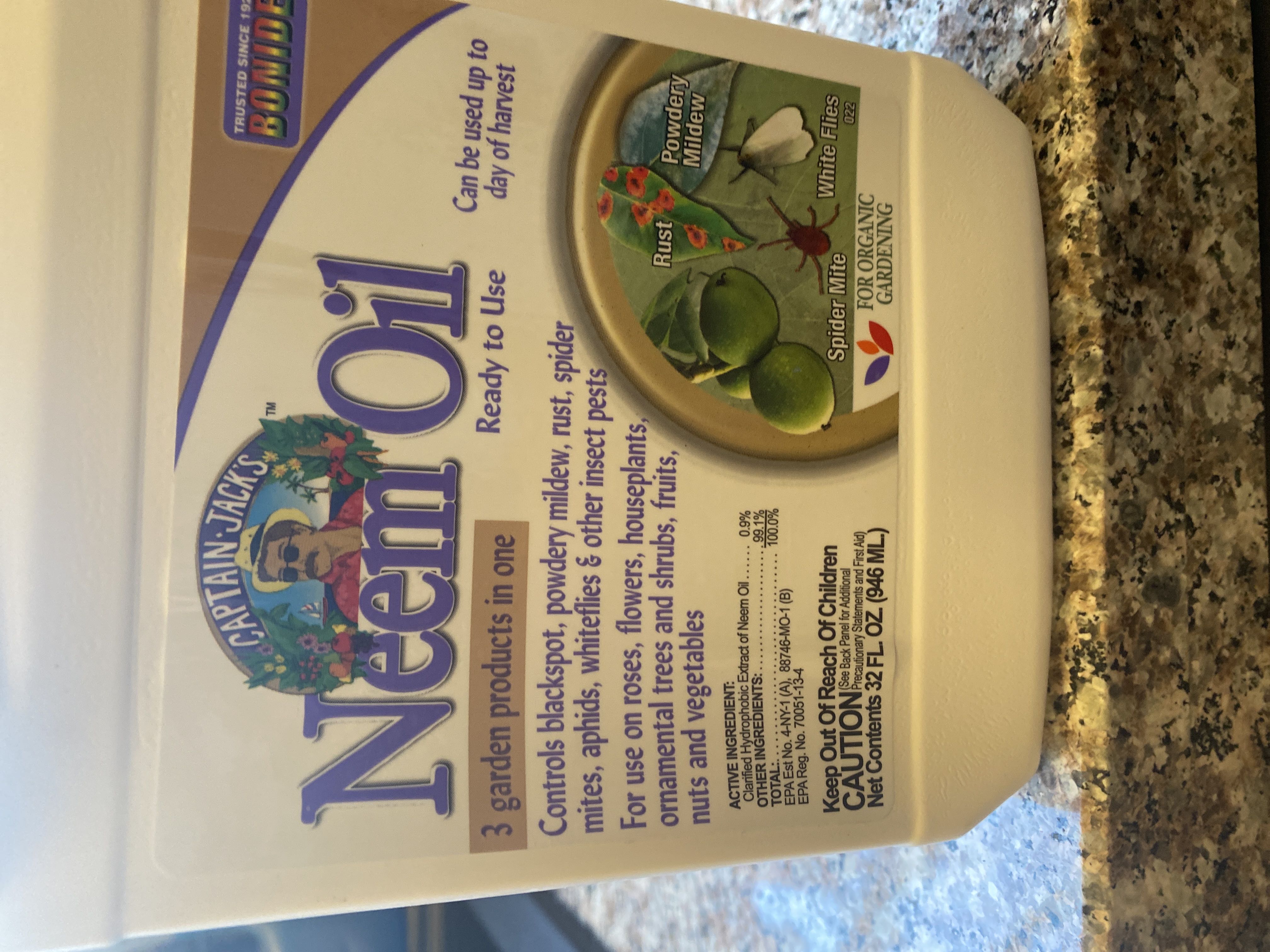 Photo from the post