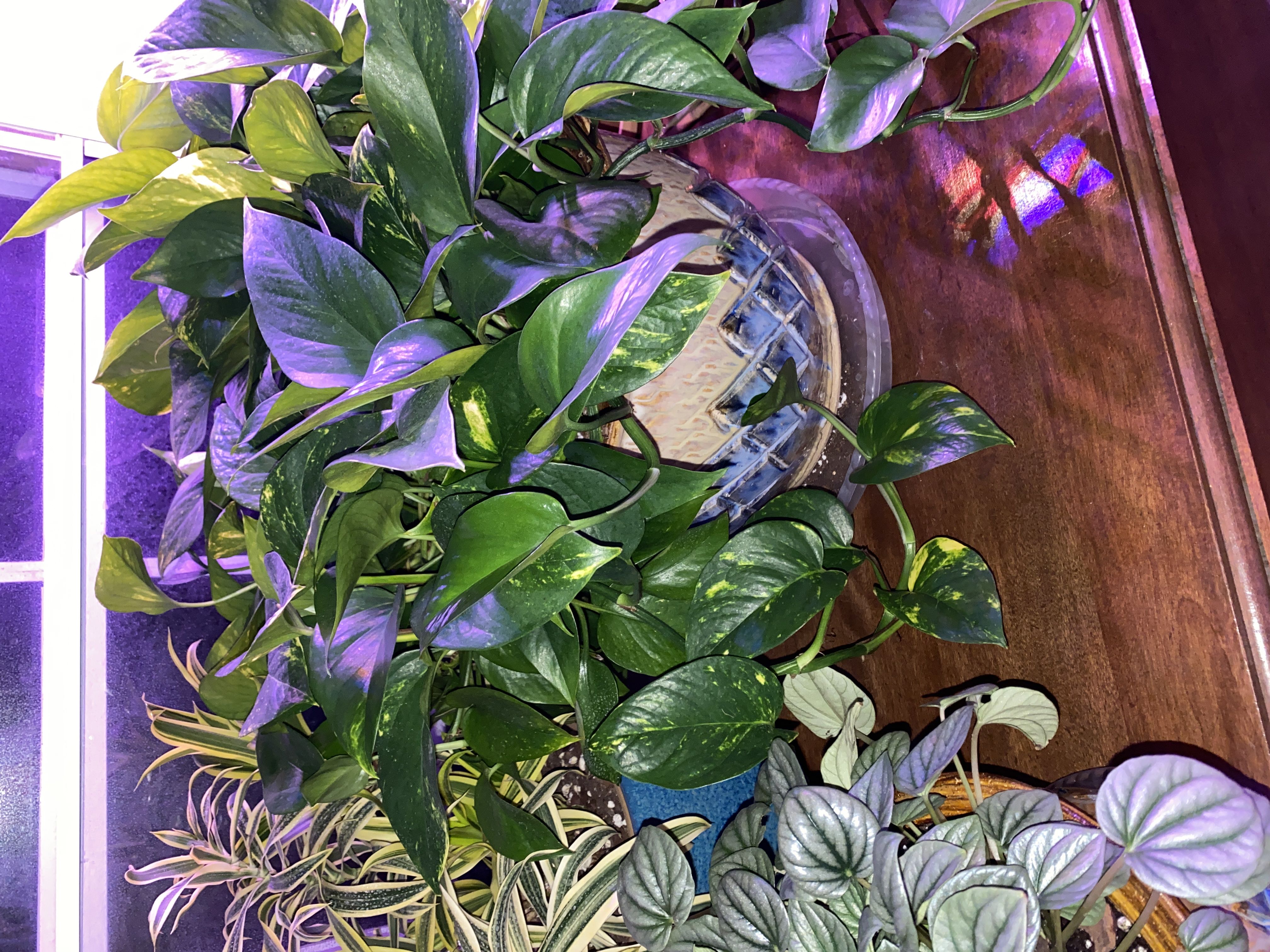 Photo from the post