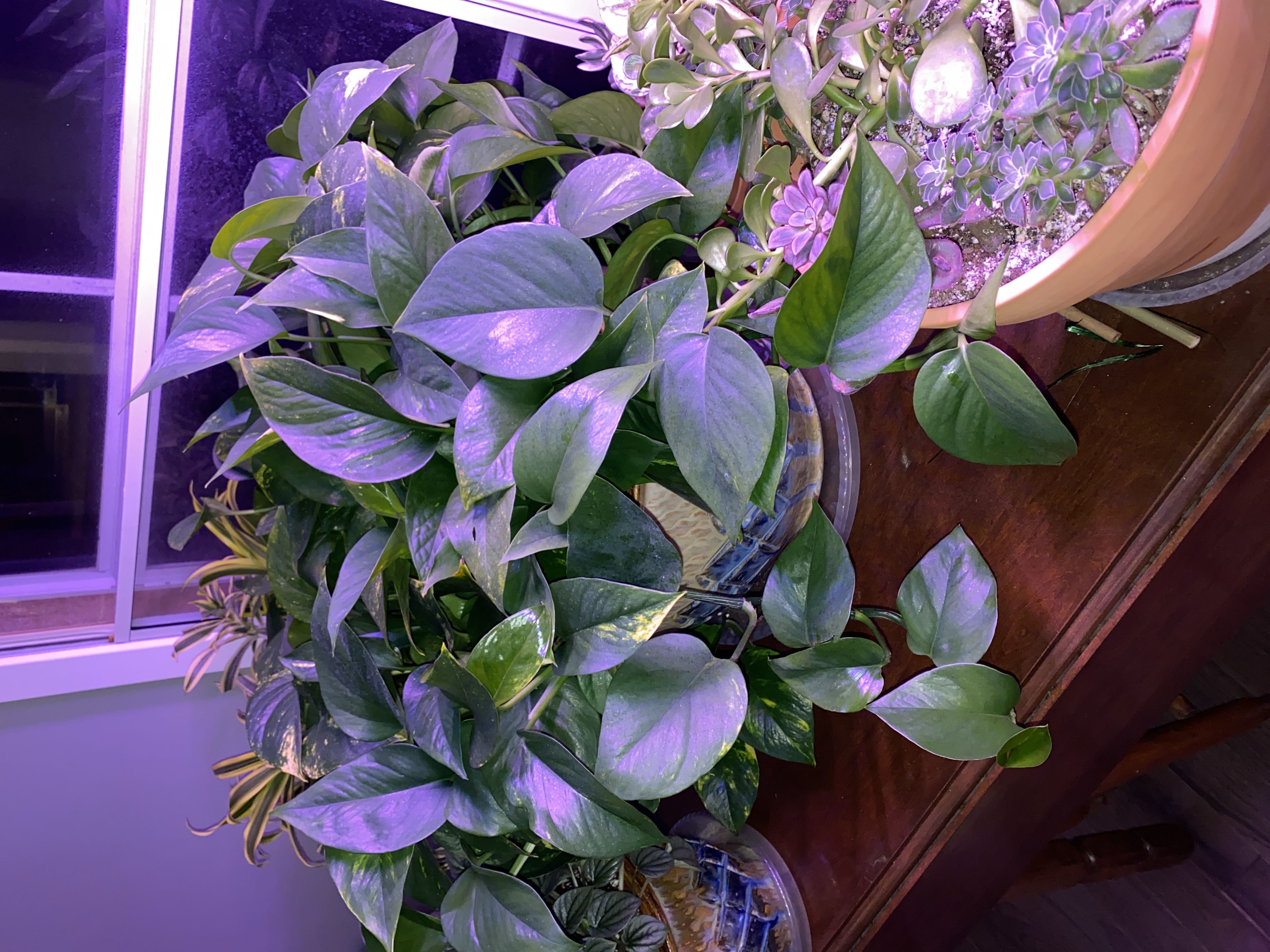 Photo from the post