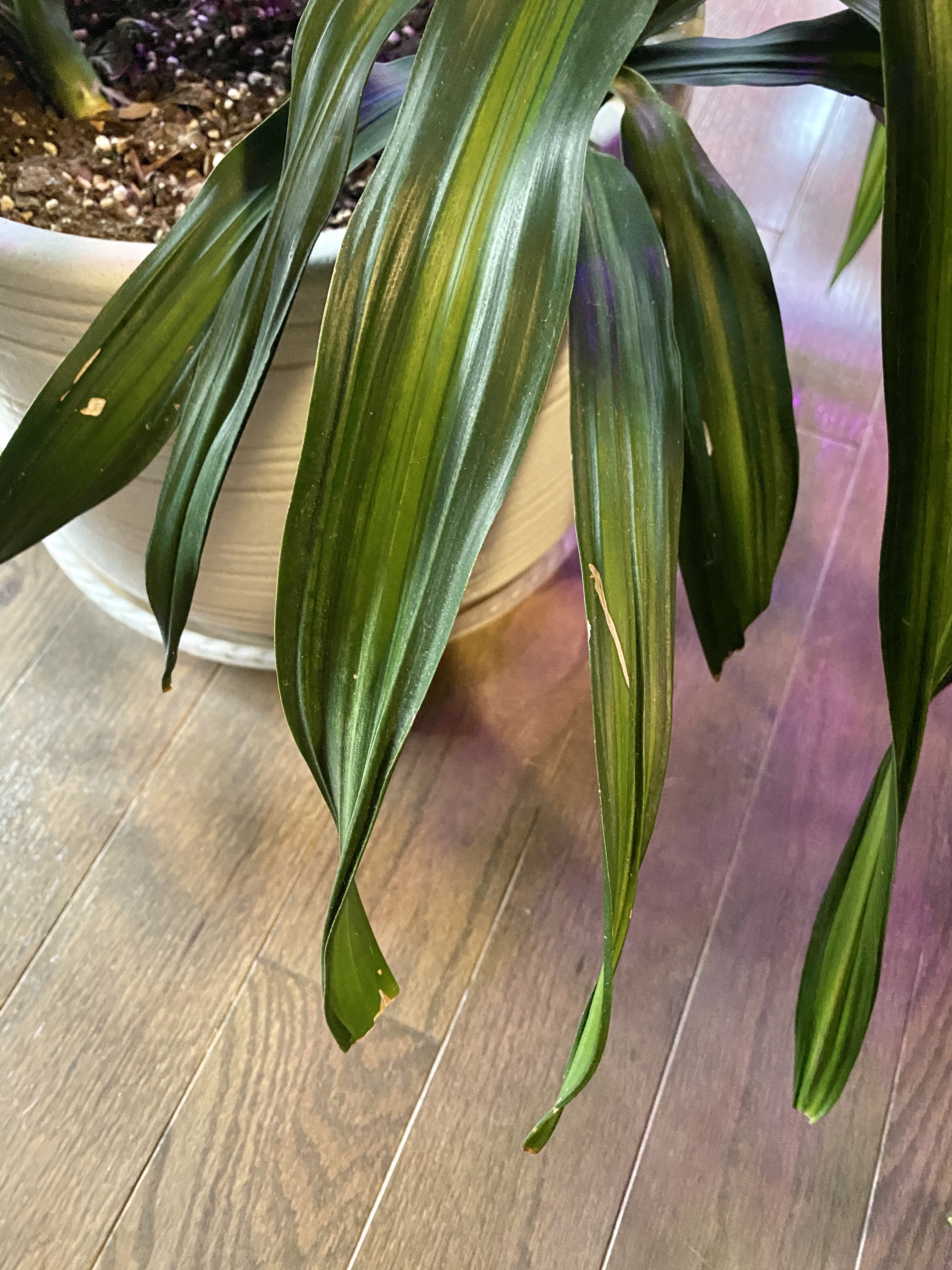 Photo from the post