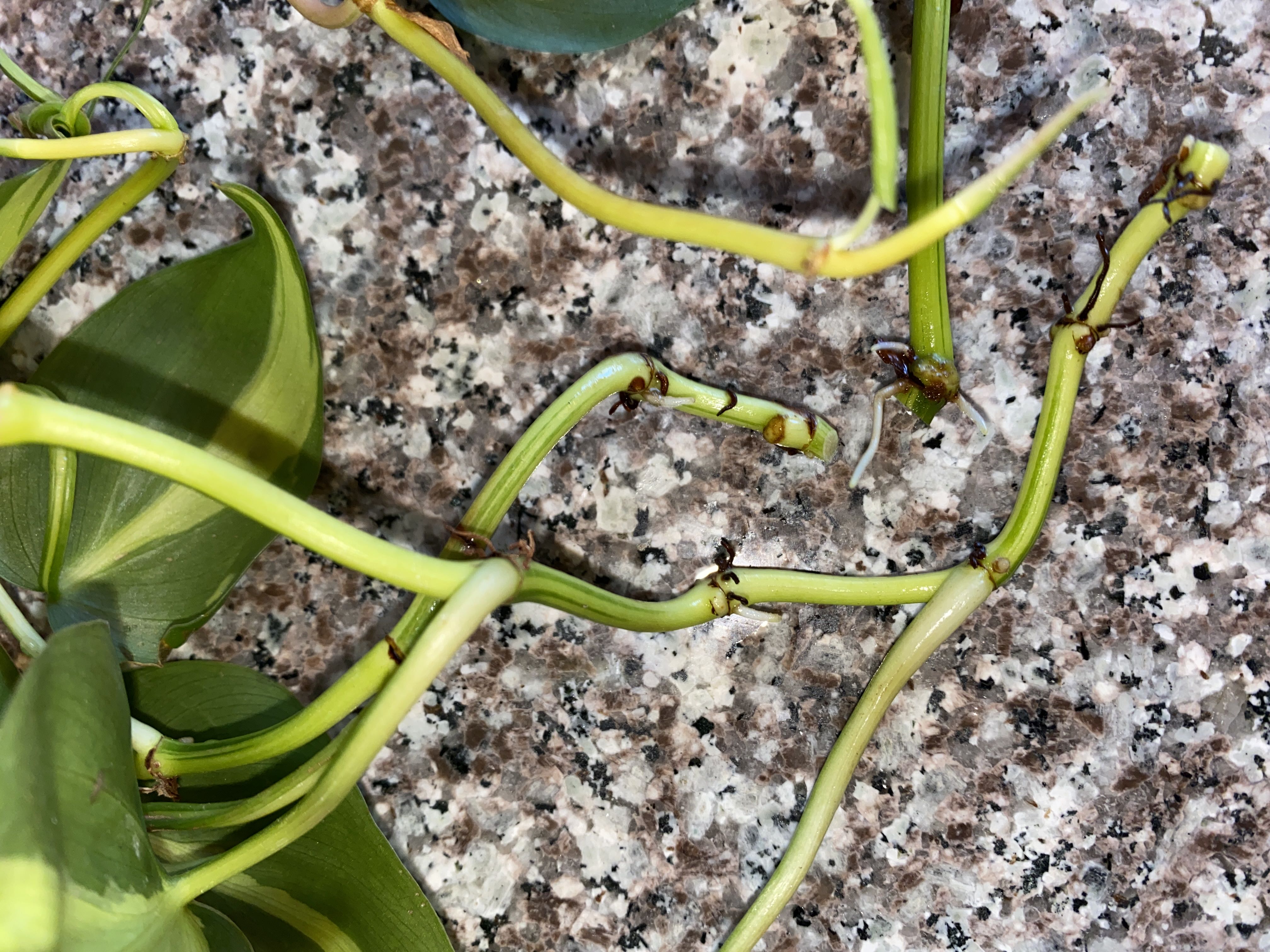 Photo from the post