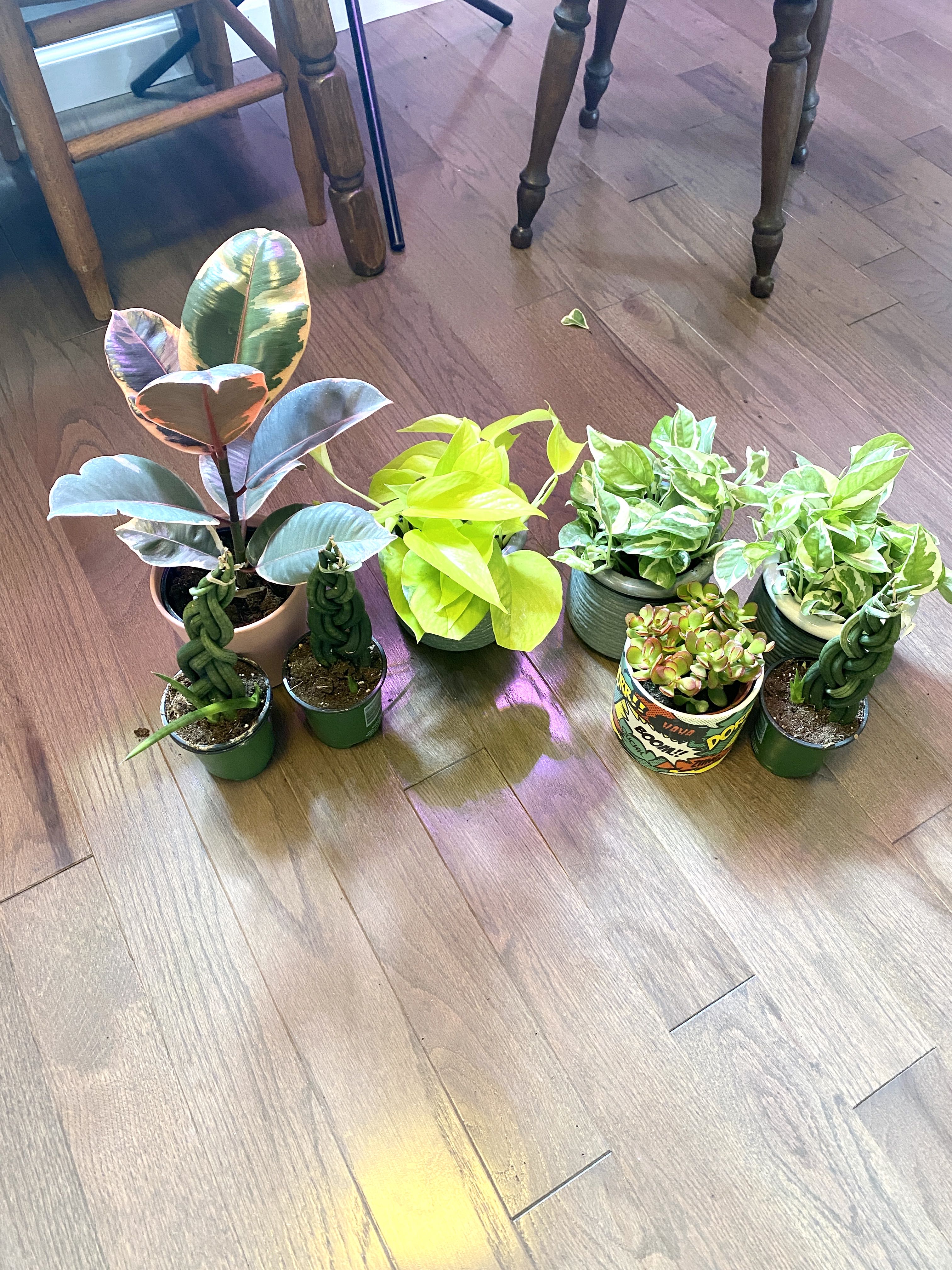 Photo from the post
