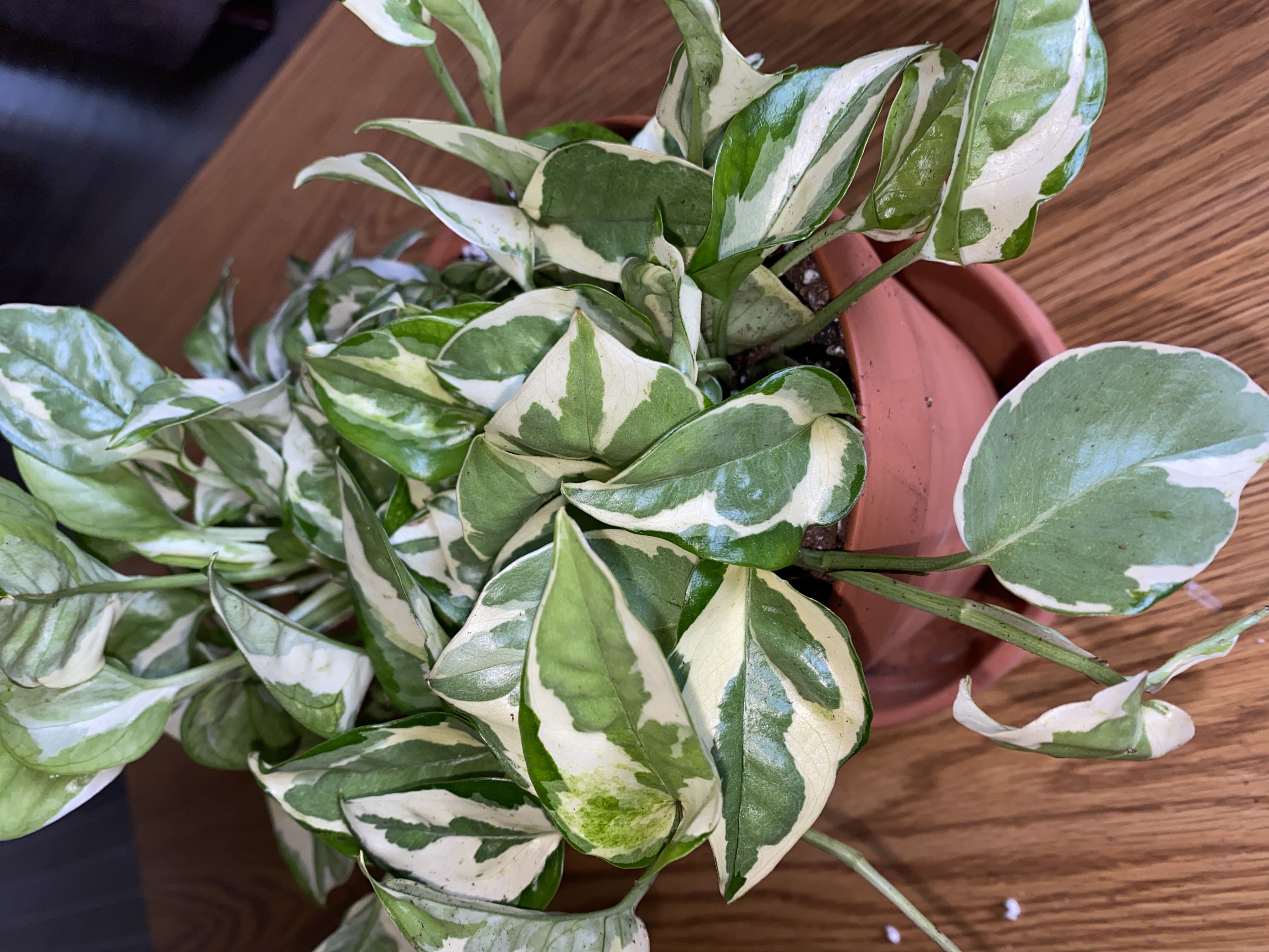 Photo from the post