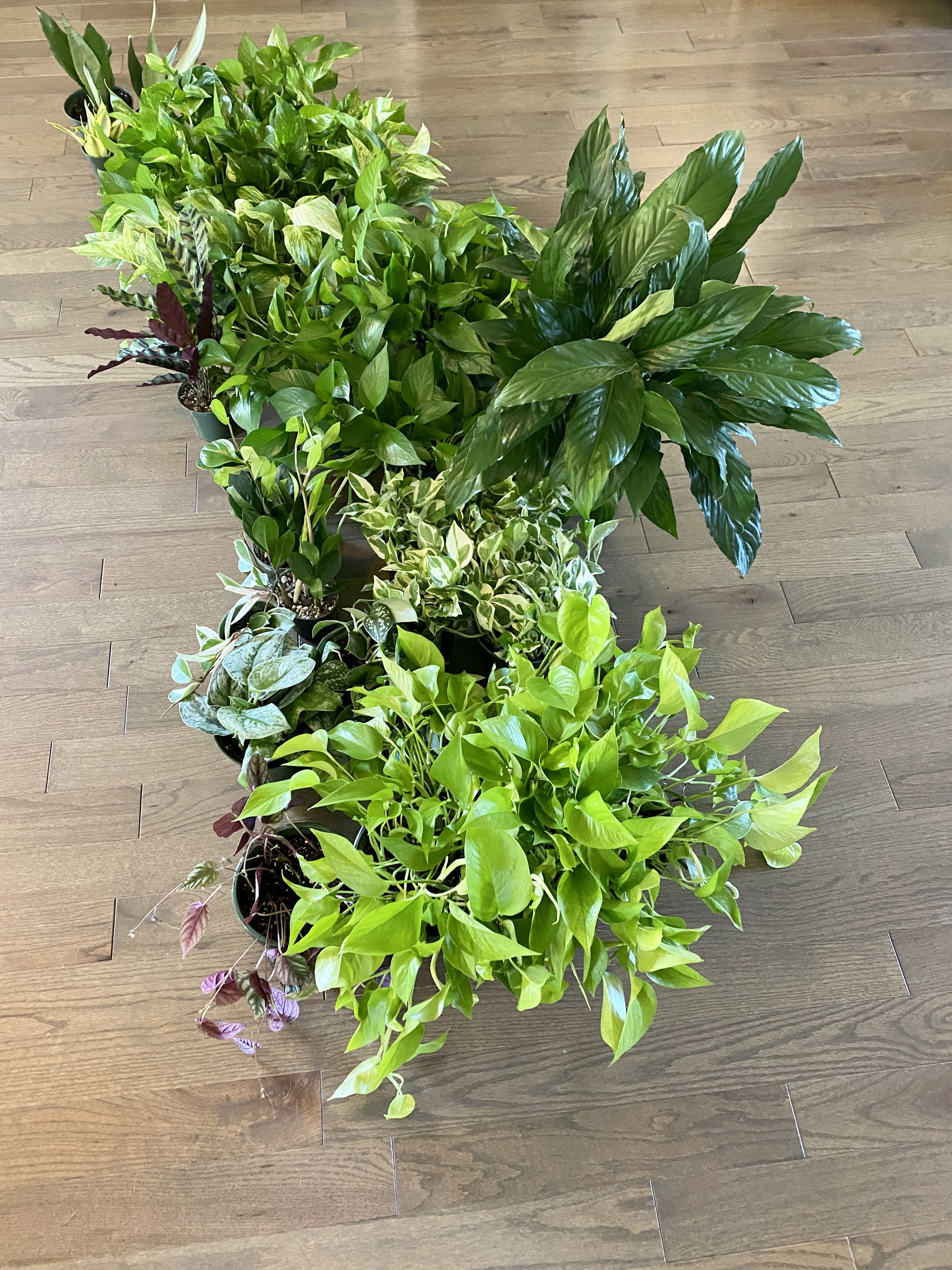 Photo from the post