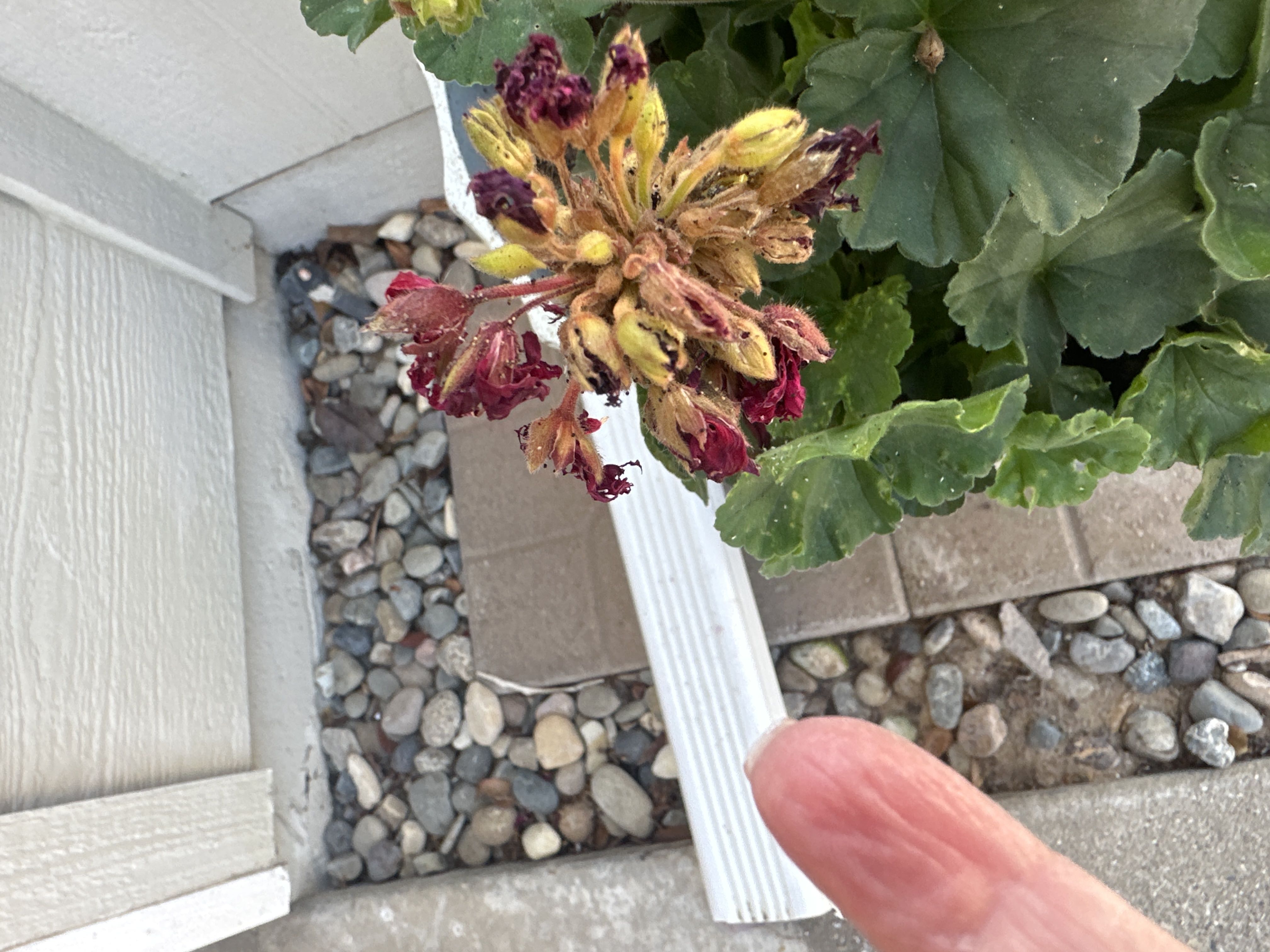 Photo from the post