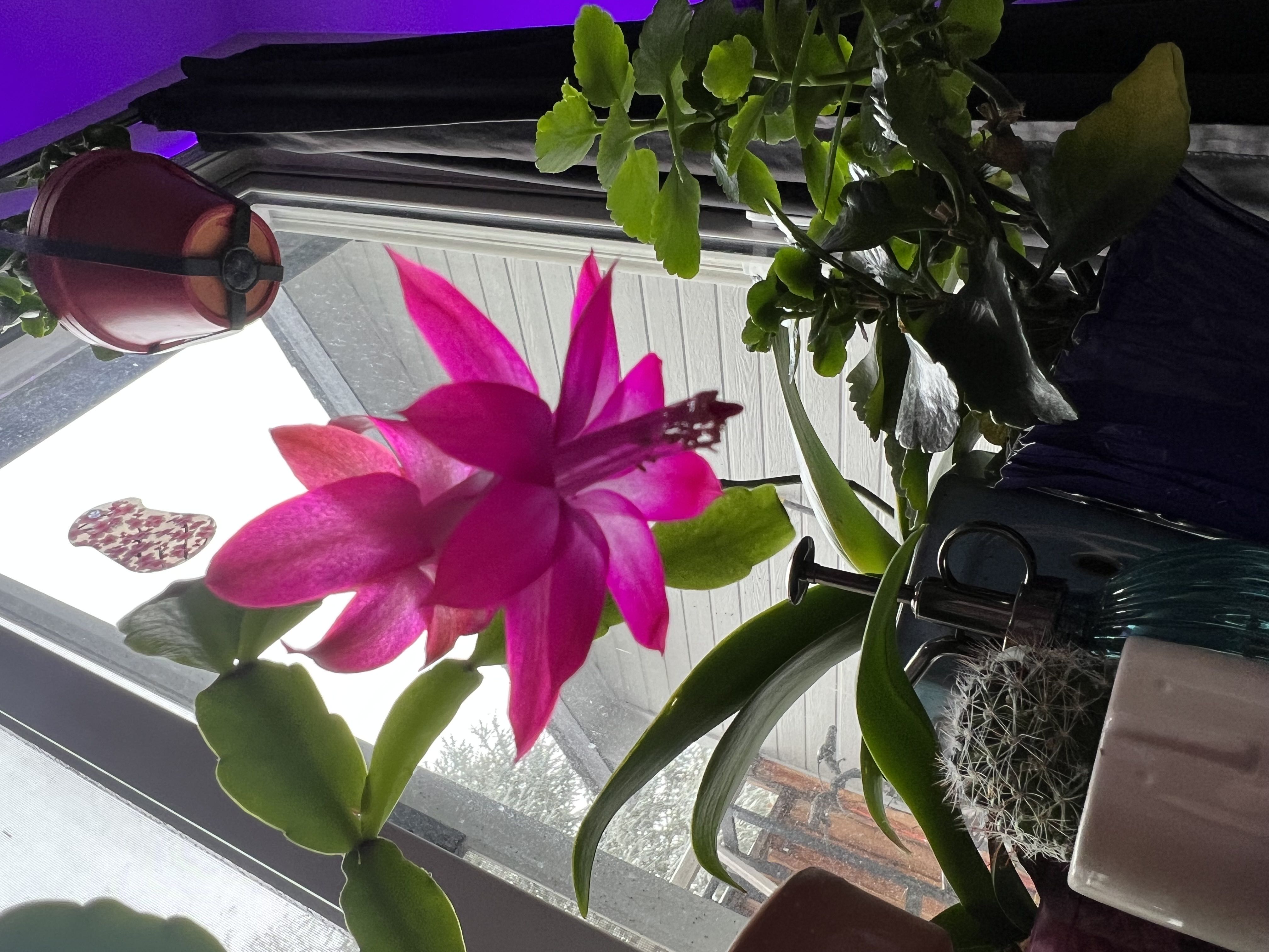 Photo from the post