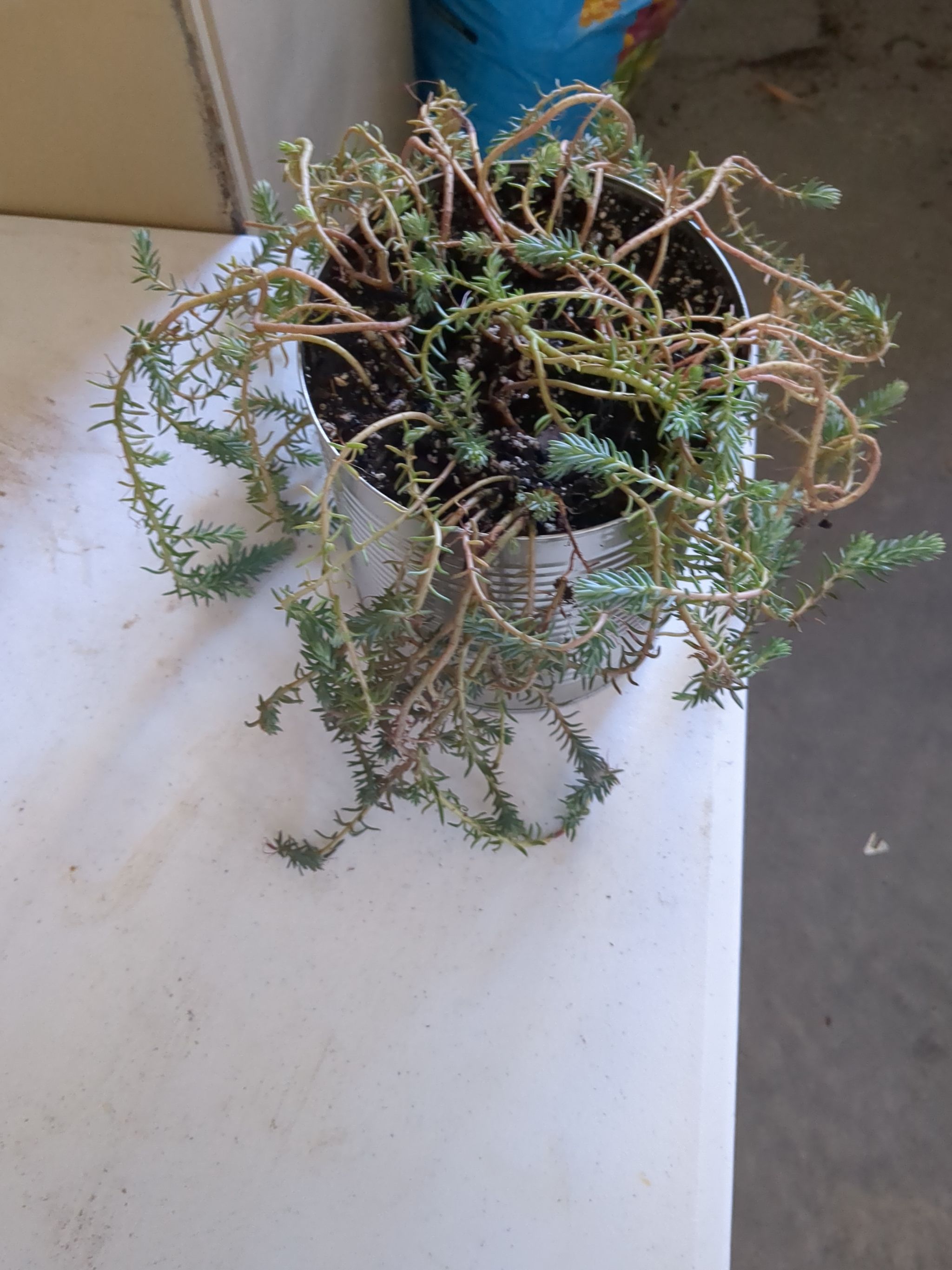 Photo from the post
