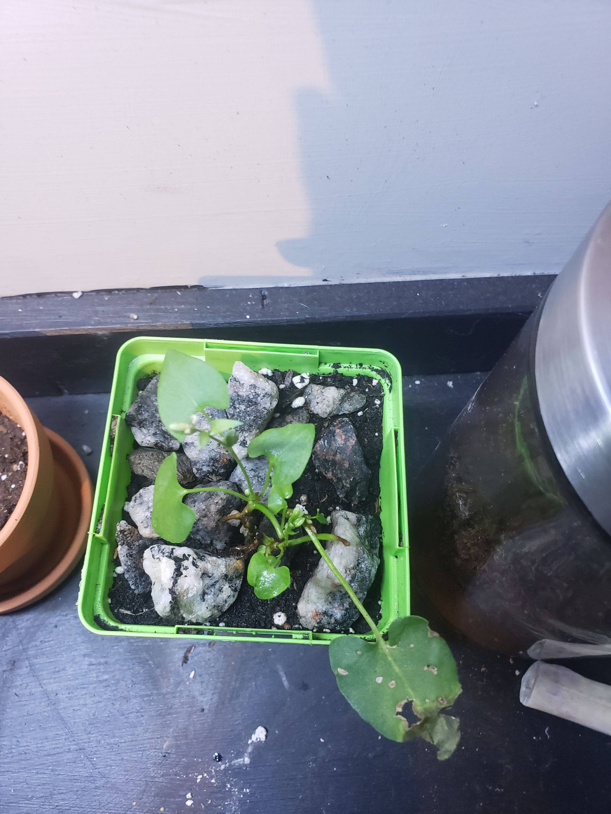 Photo from the post