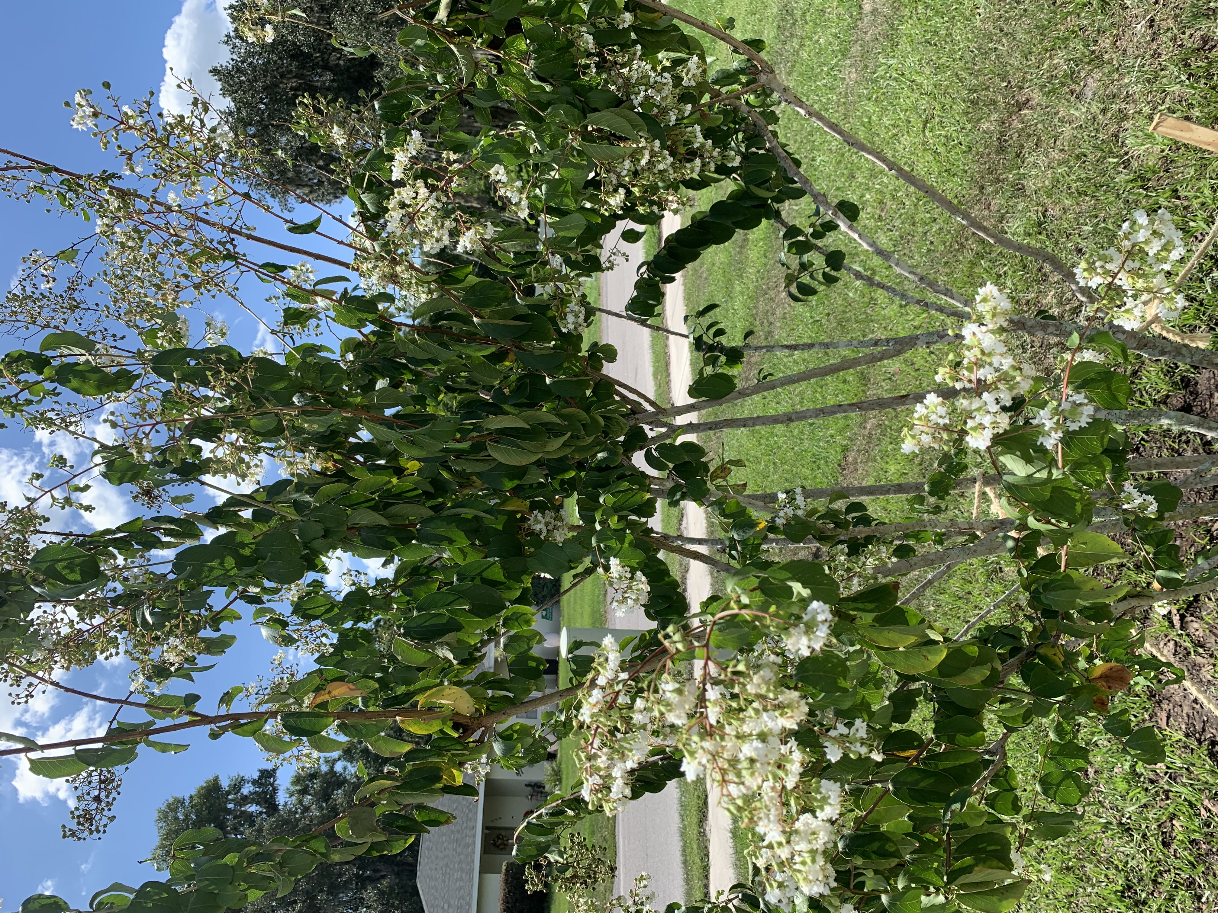 Photo from the post