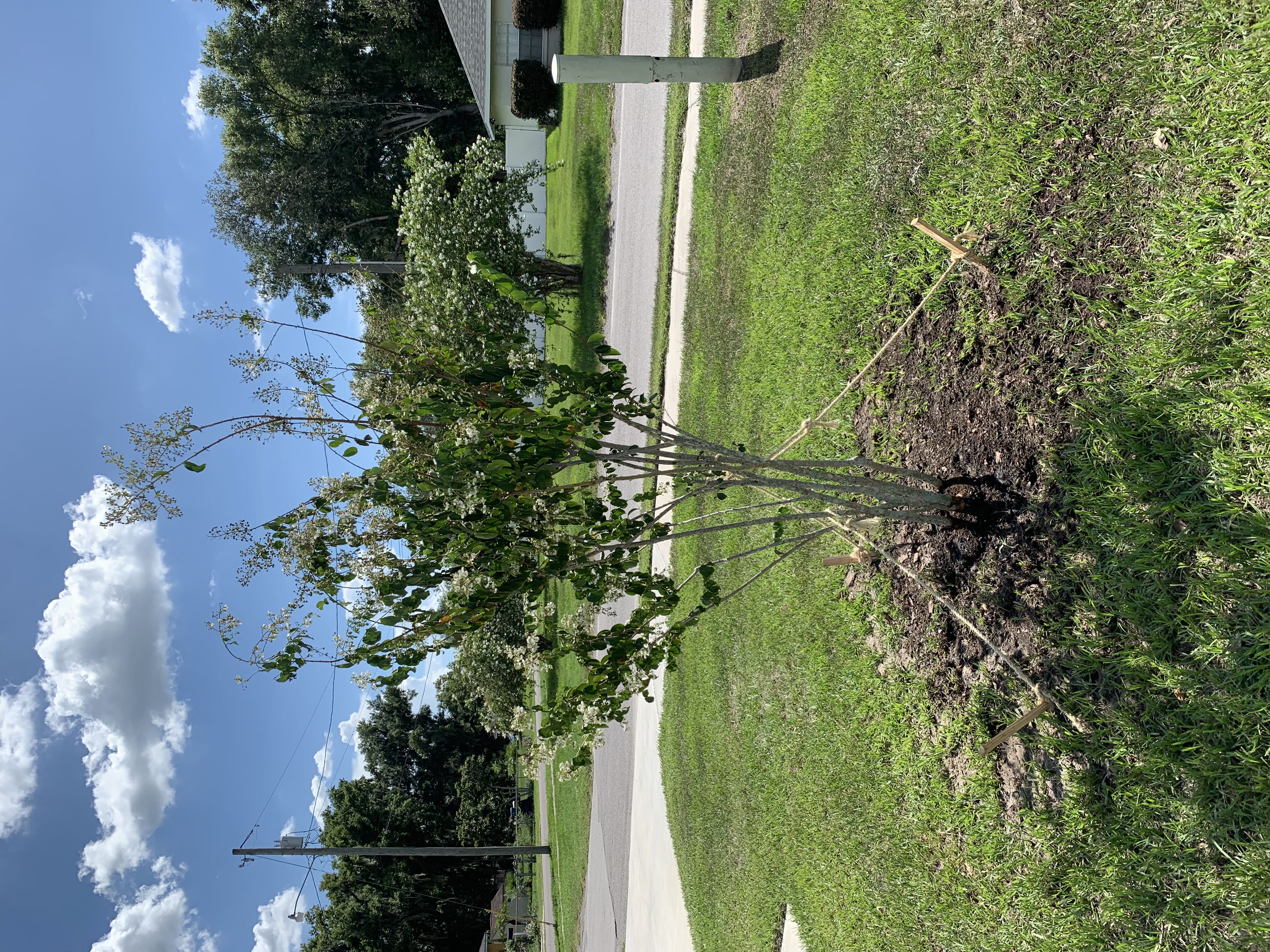 Photo from the post