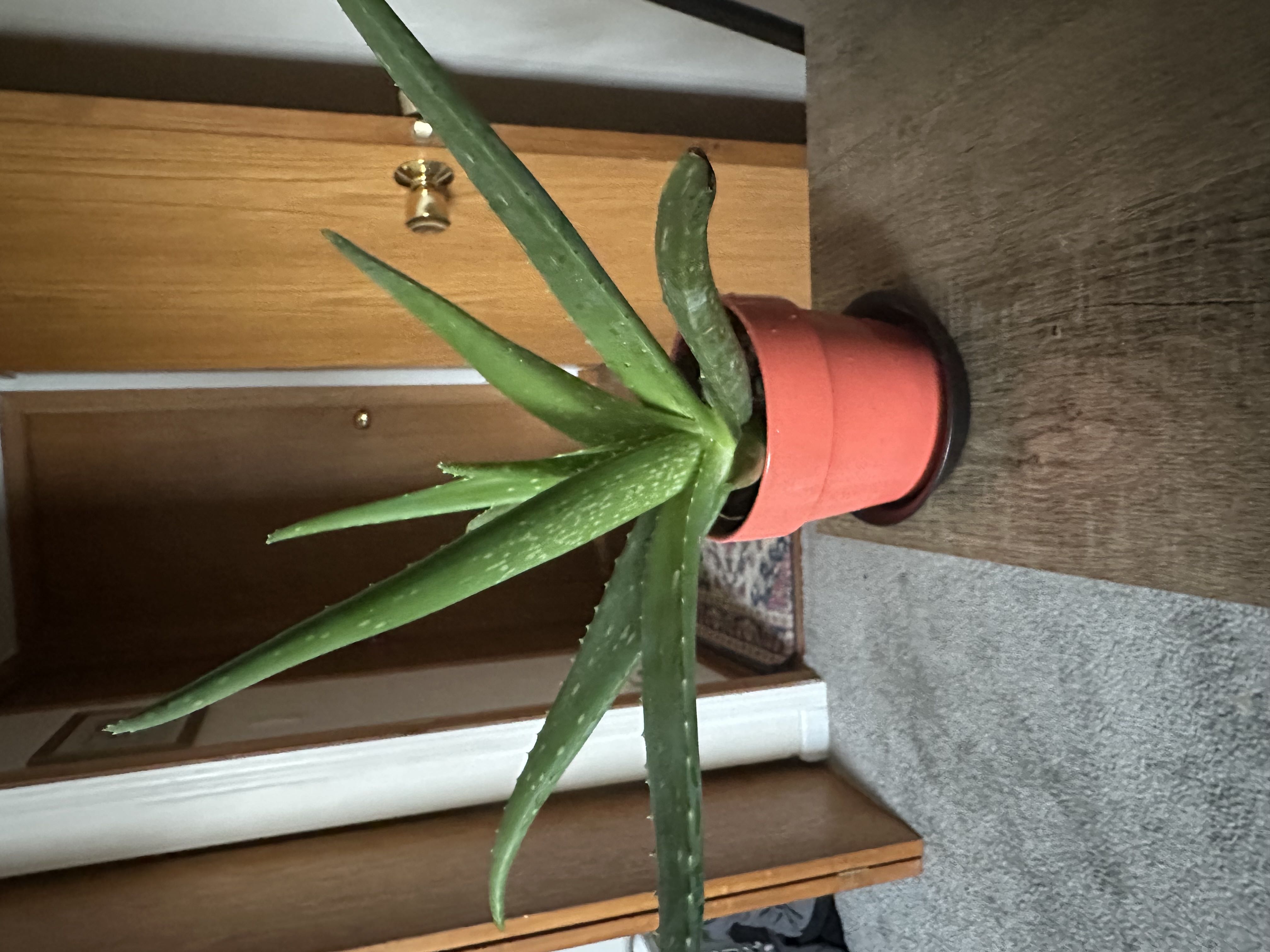 Do we think it&rsquo;s time for a bigger pot??