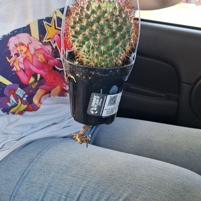 Photo of the plant species Cactus by @PreciousRedbush named Austen on Greg, the plant care app