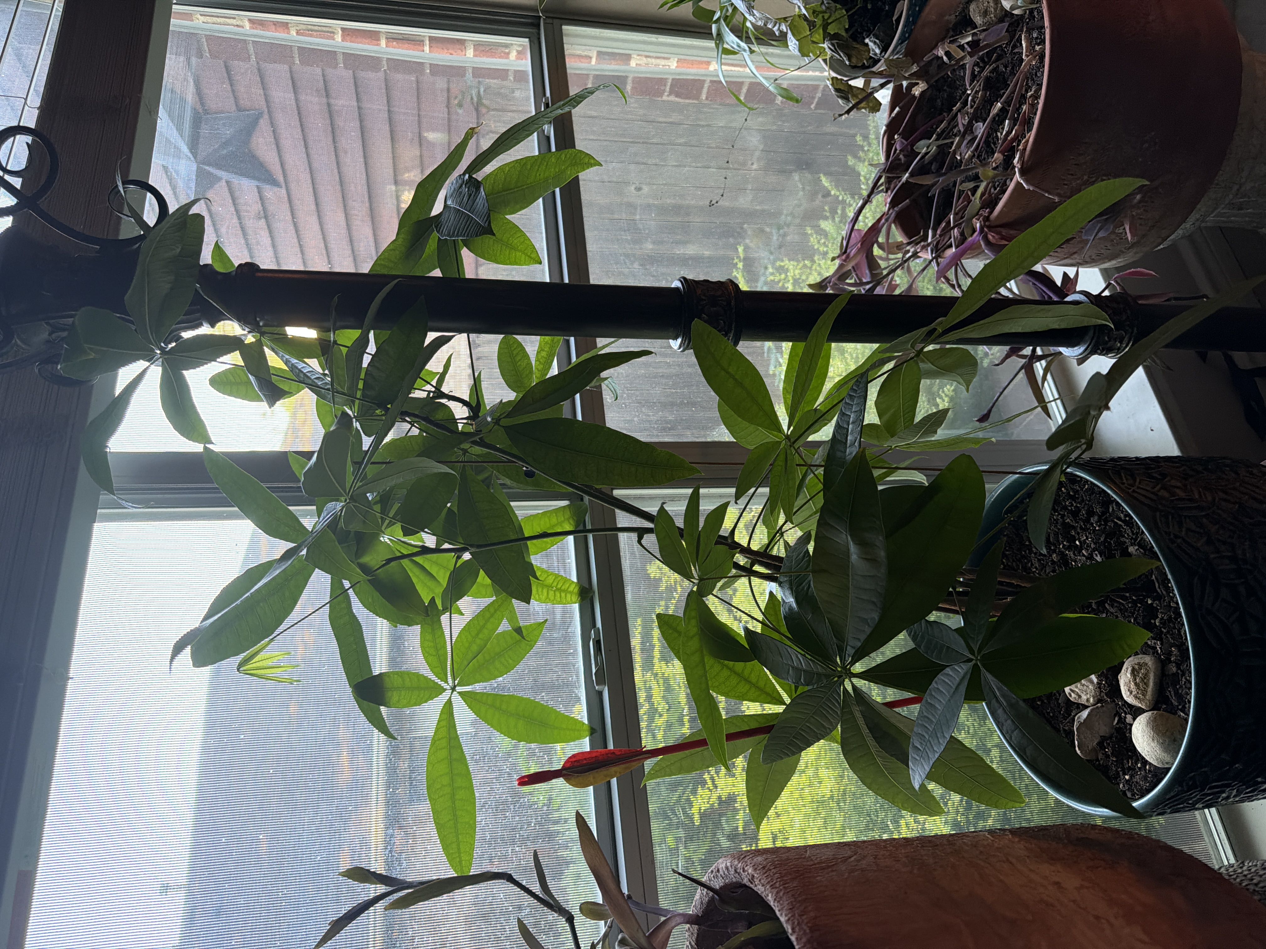 Photo from the post