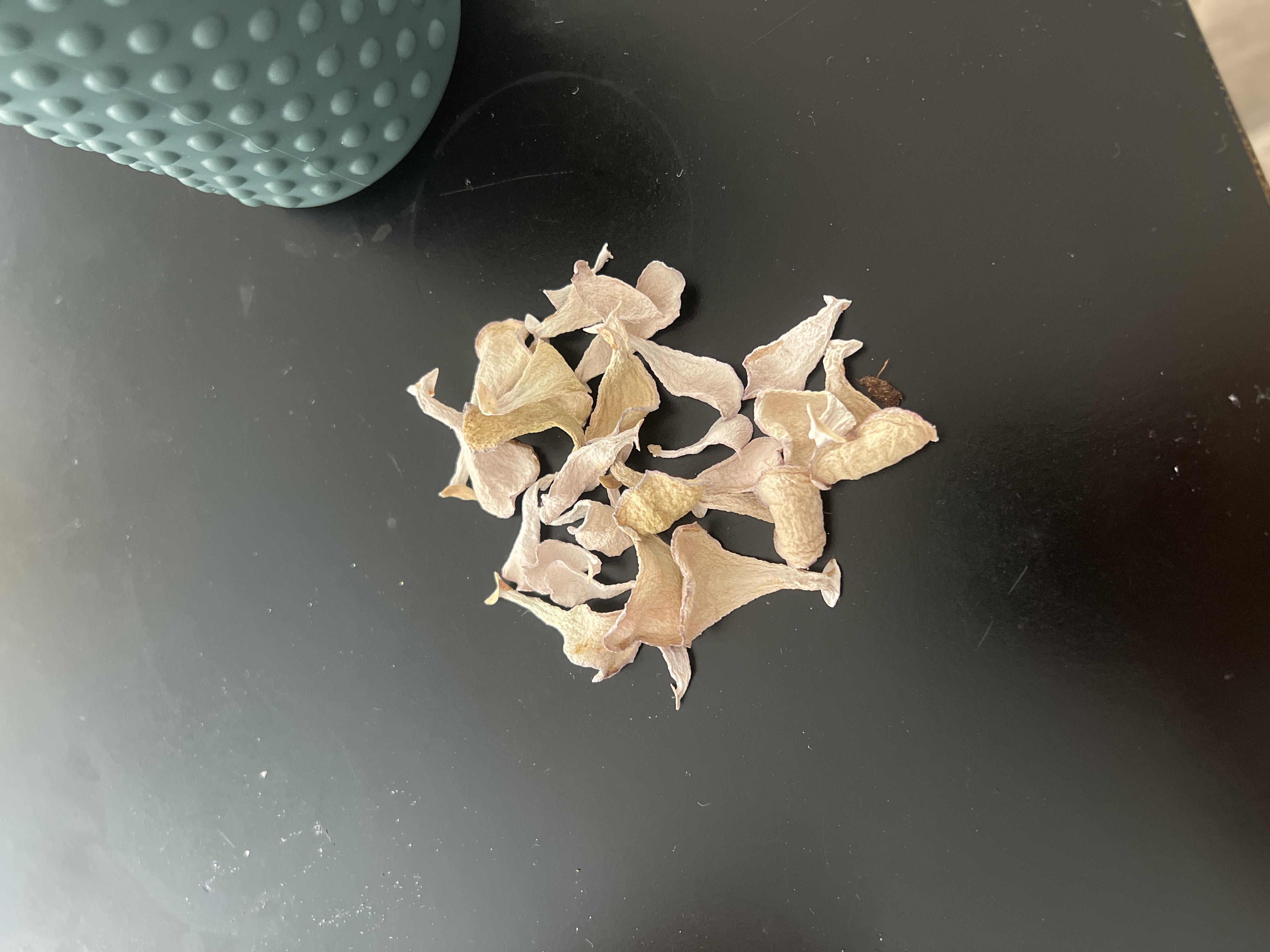 Photo from the post