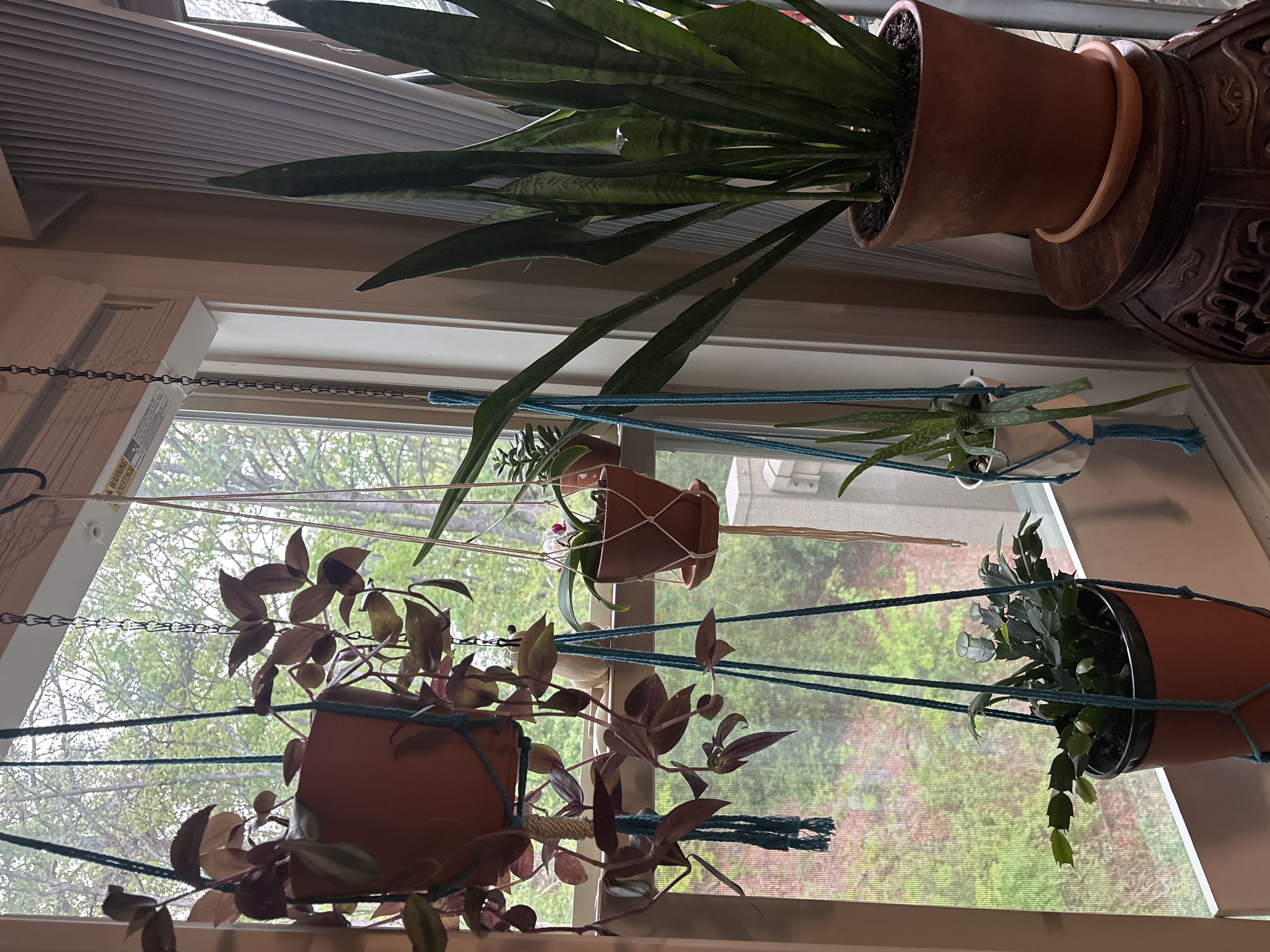 Photo from the post