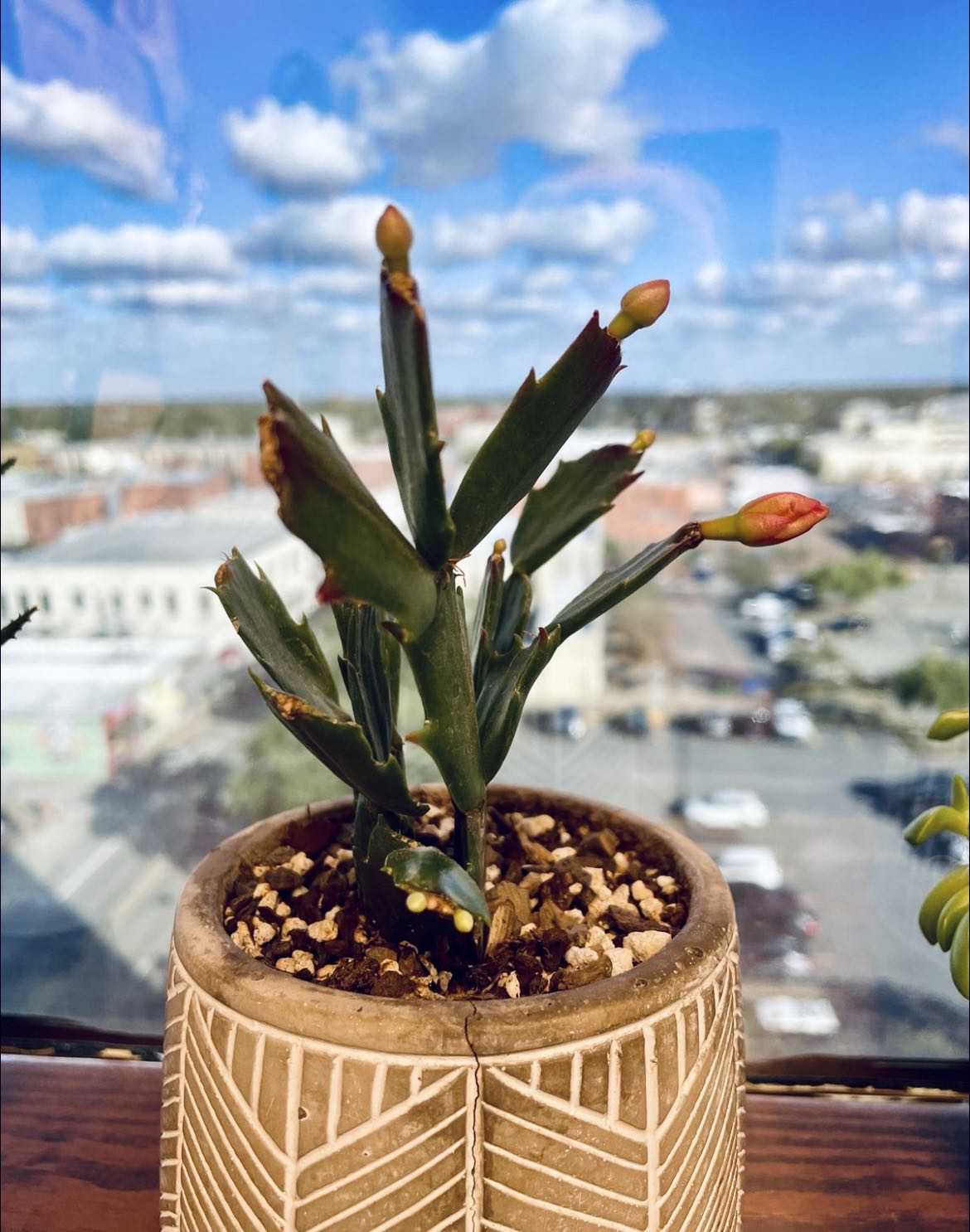 Photo from the post