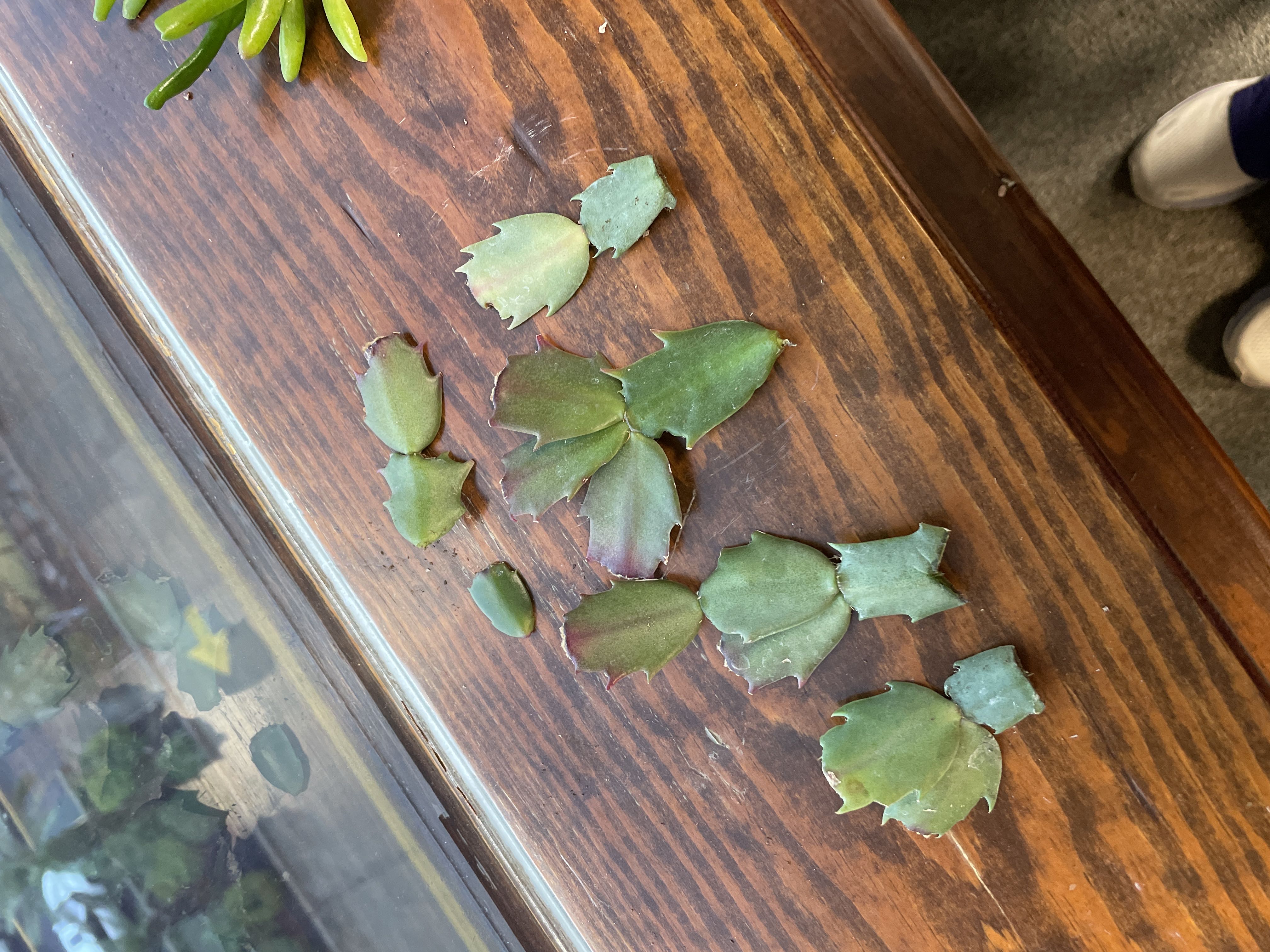 Photo from the post