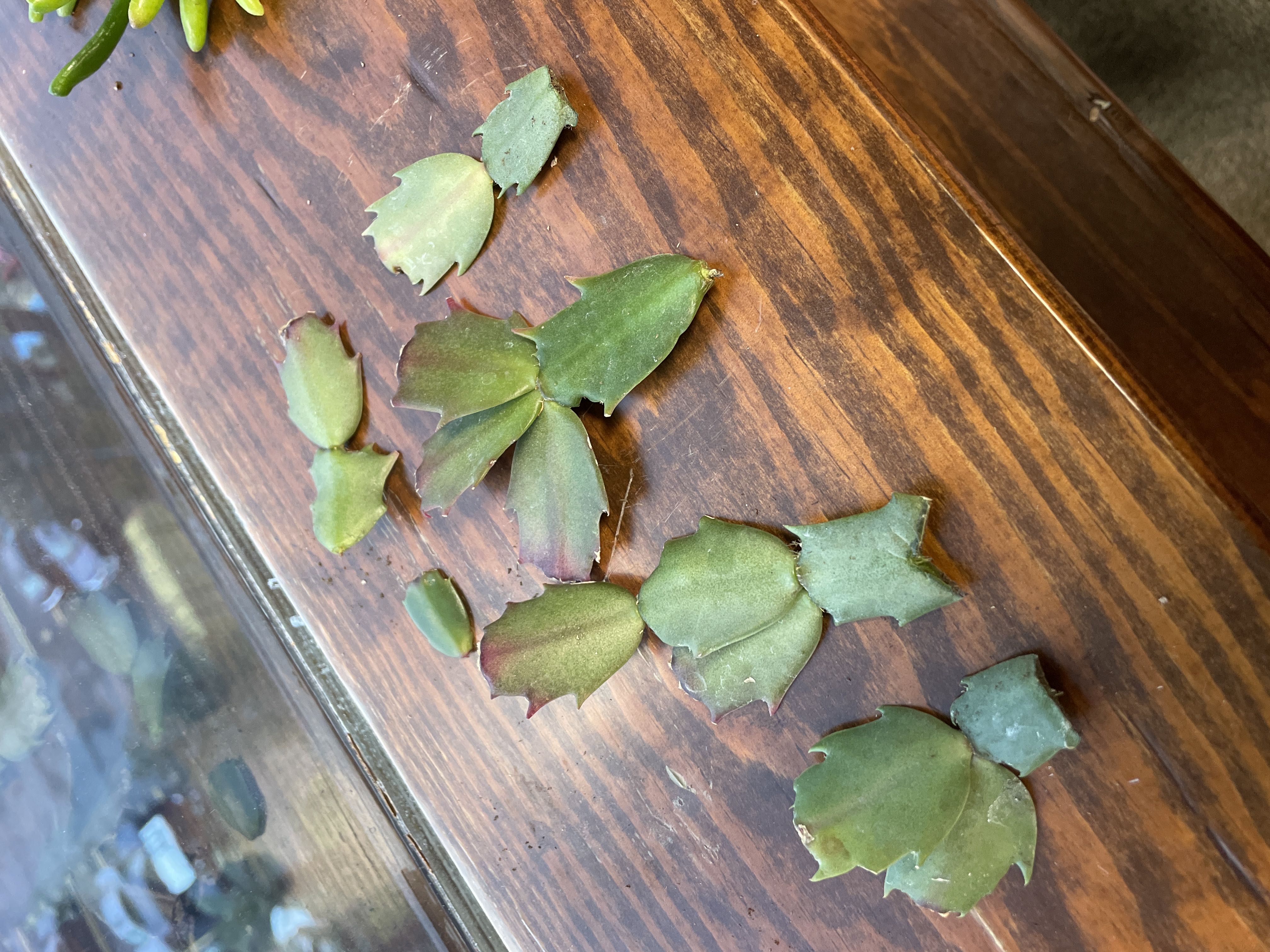 Photo from the post