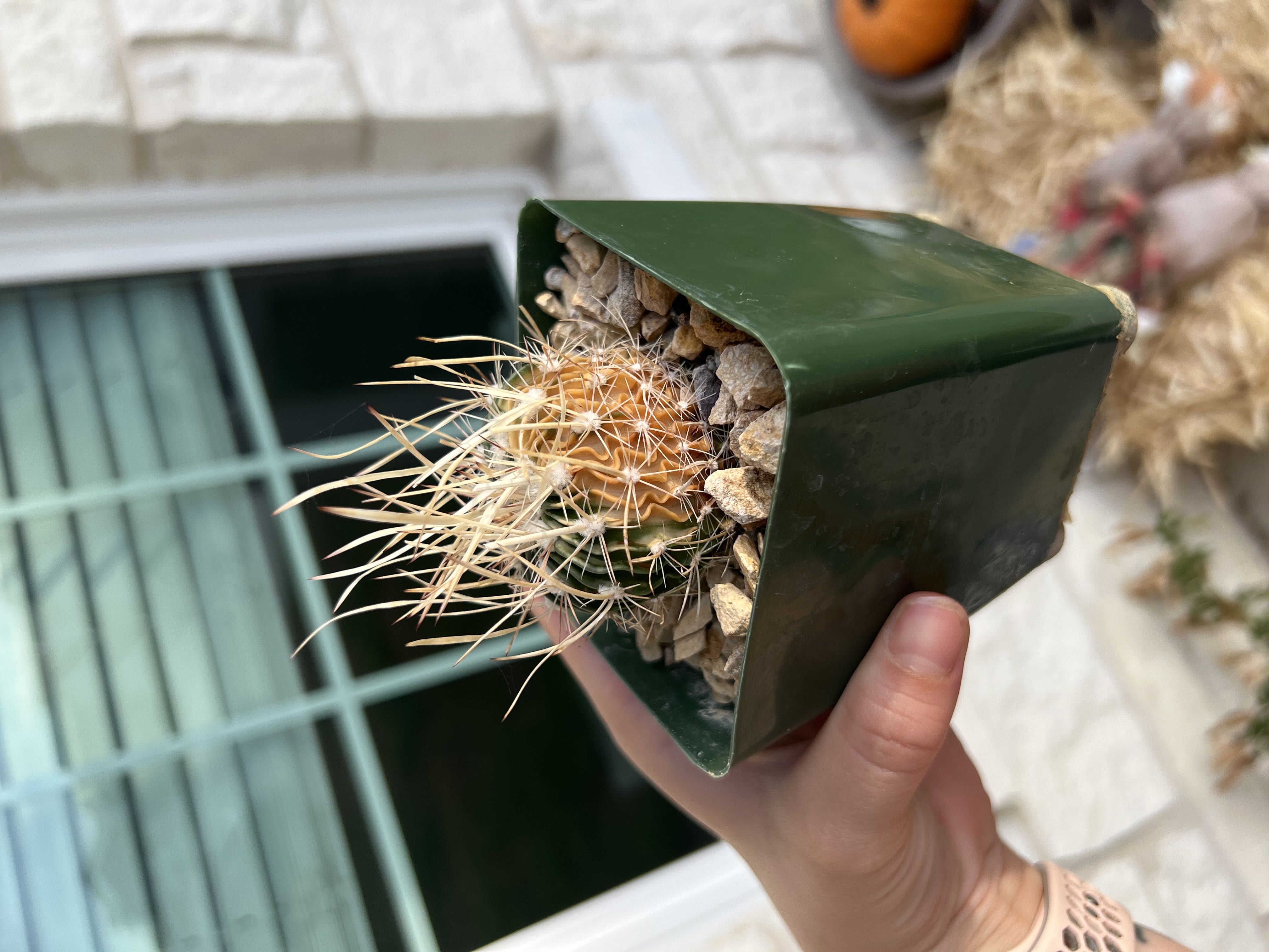 Photo from the post
