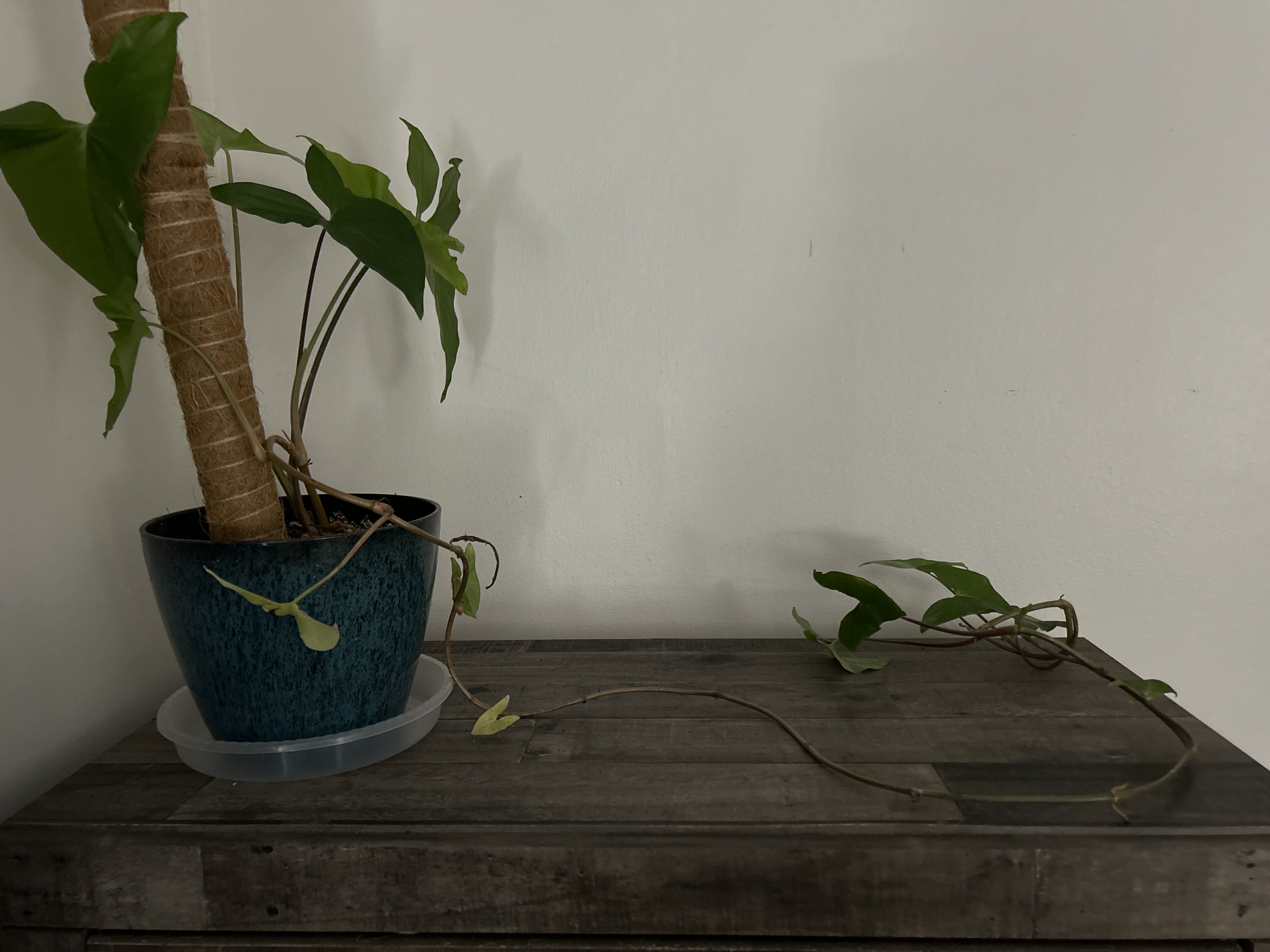 Photo from the post