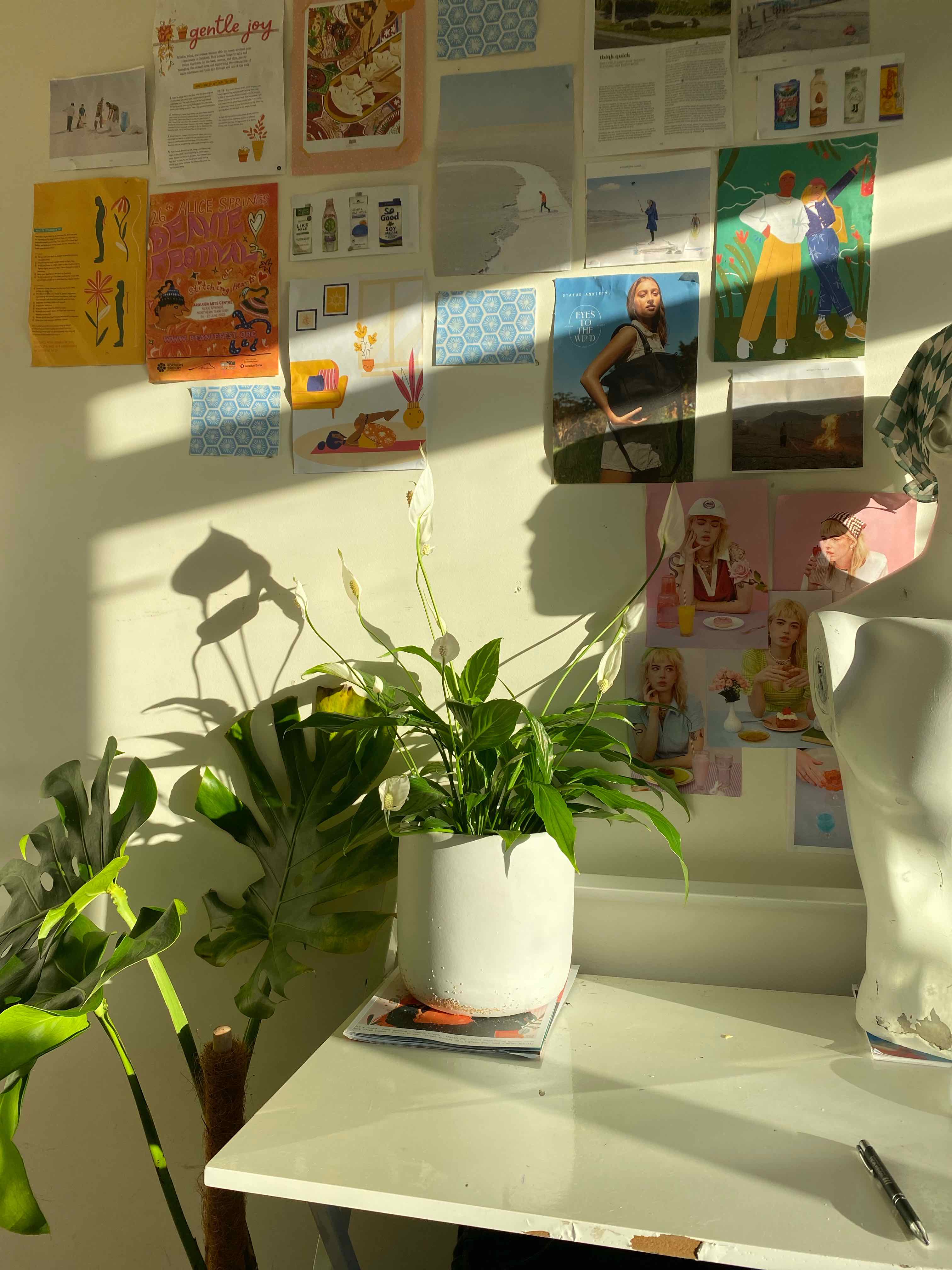 Peace Lily plant photo by @Dann1grant named Bert on Greg, the plant care app.