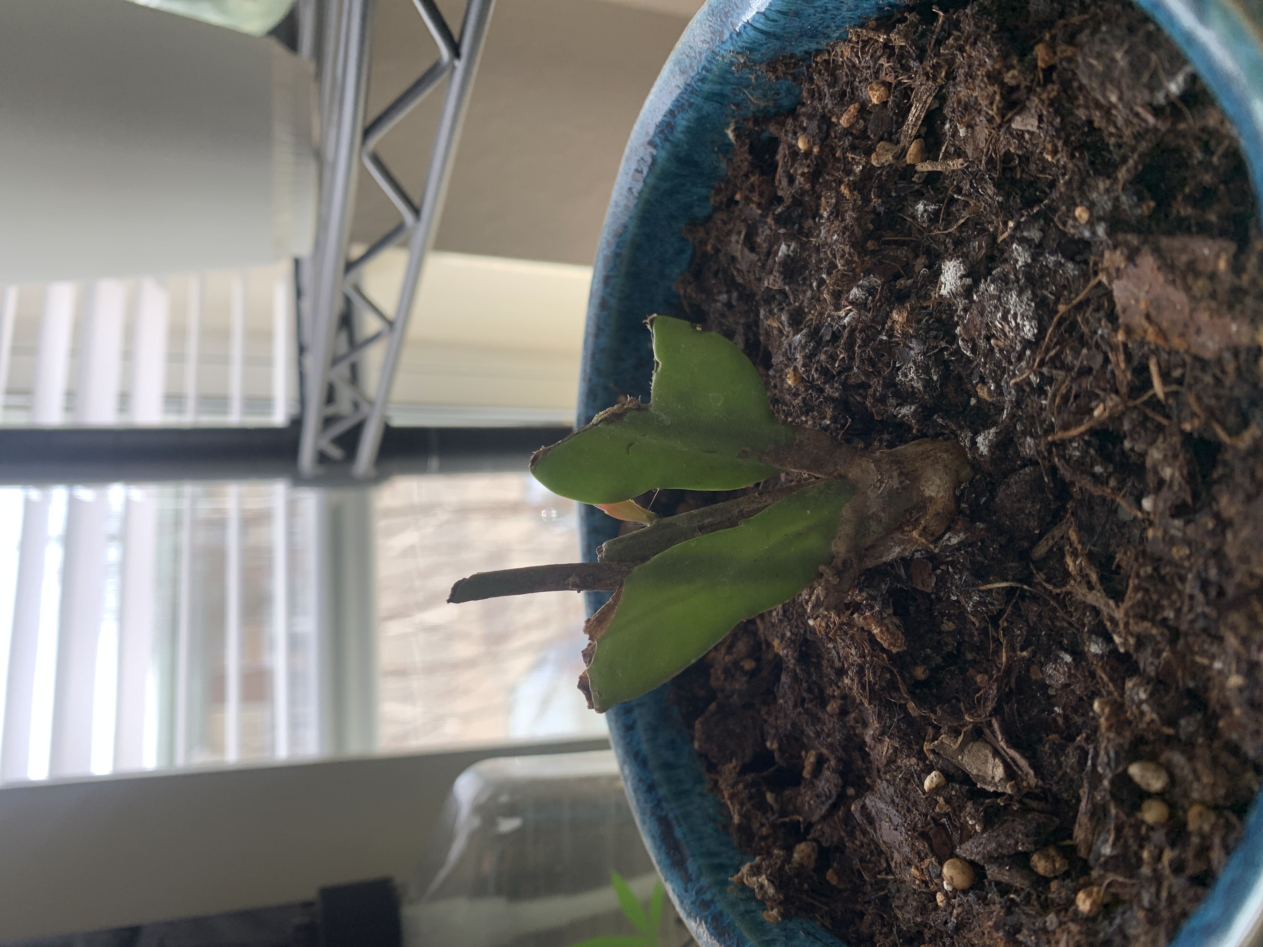 Photo from the post