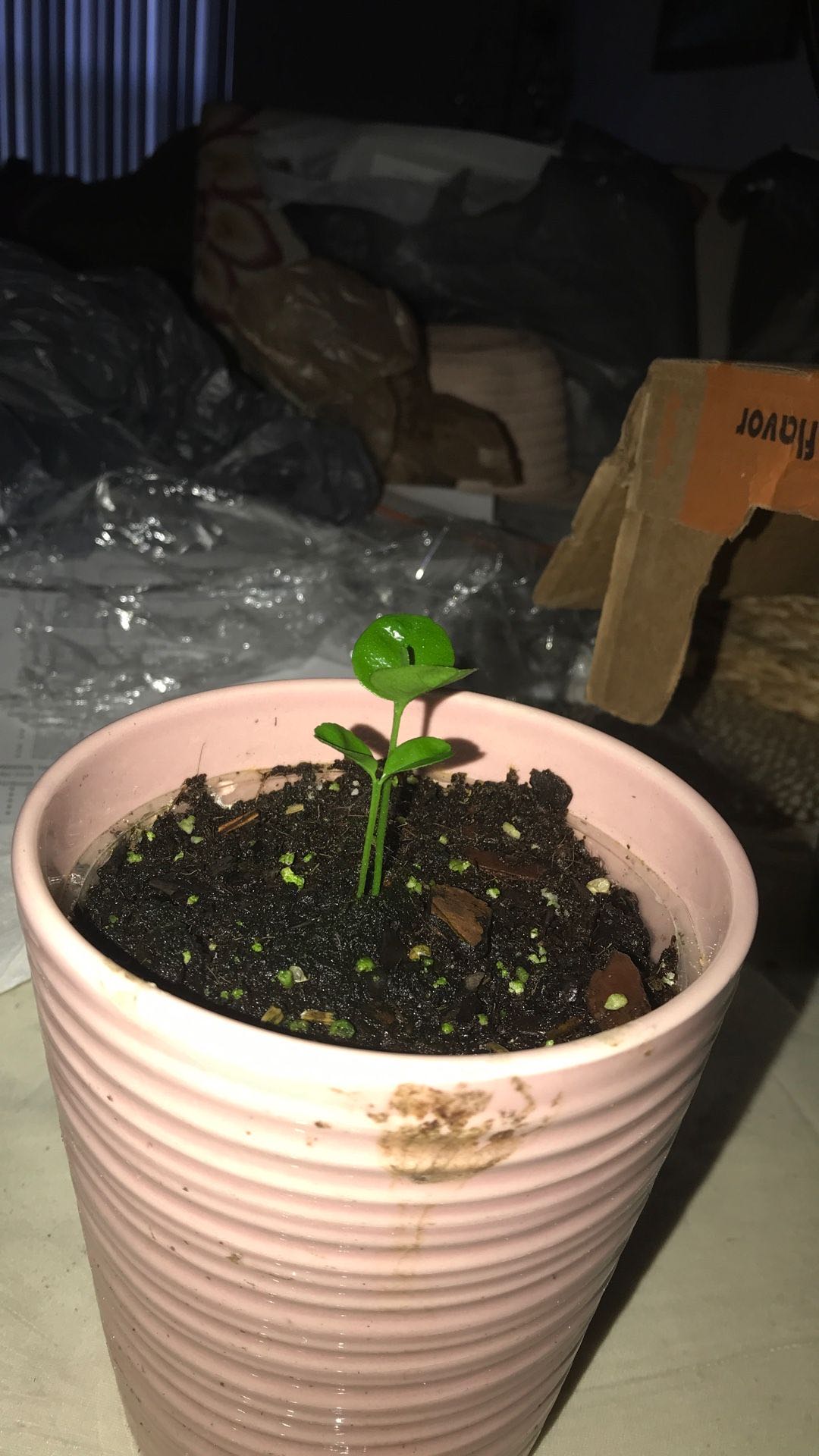 Photo from the post