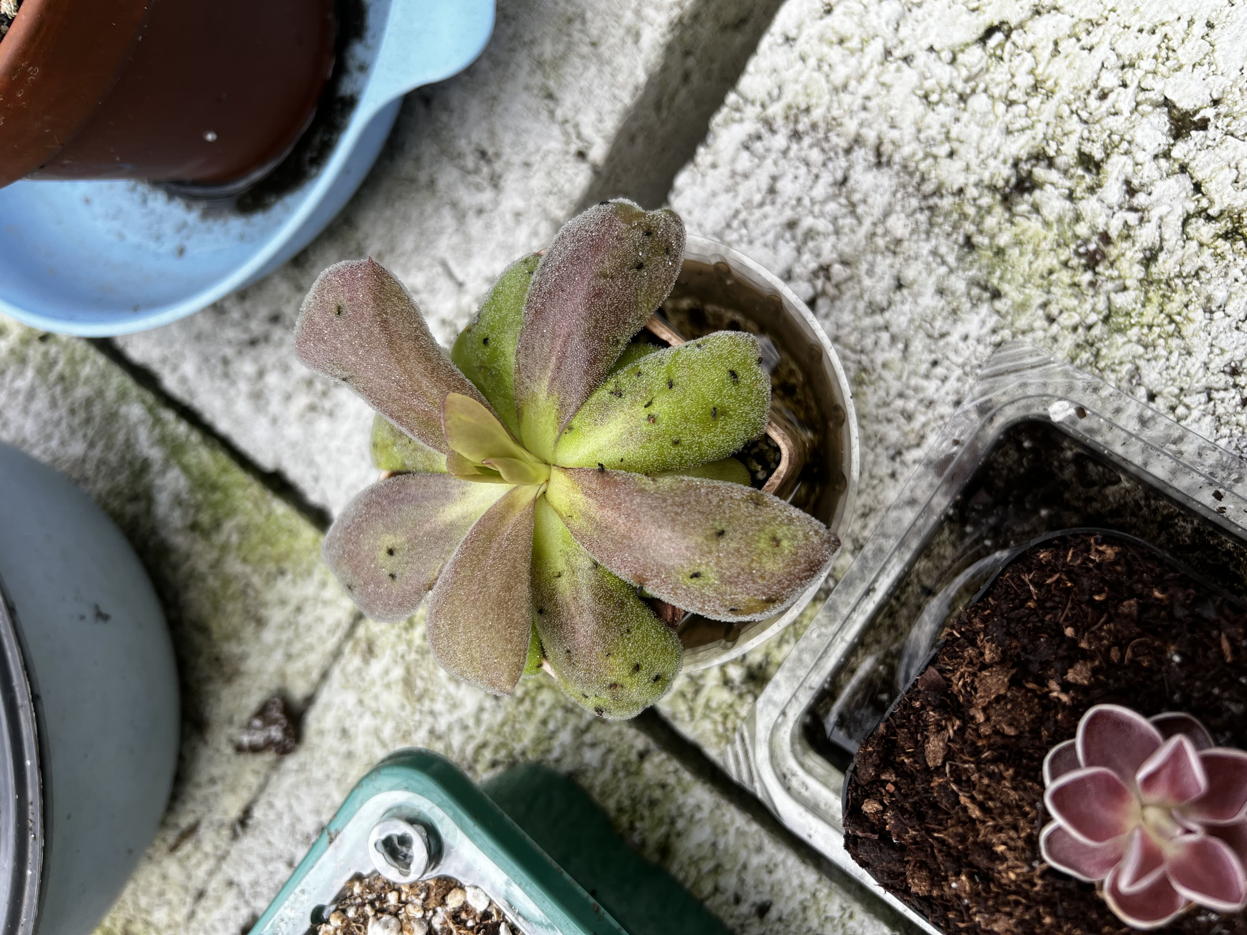 Photo from the post
