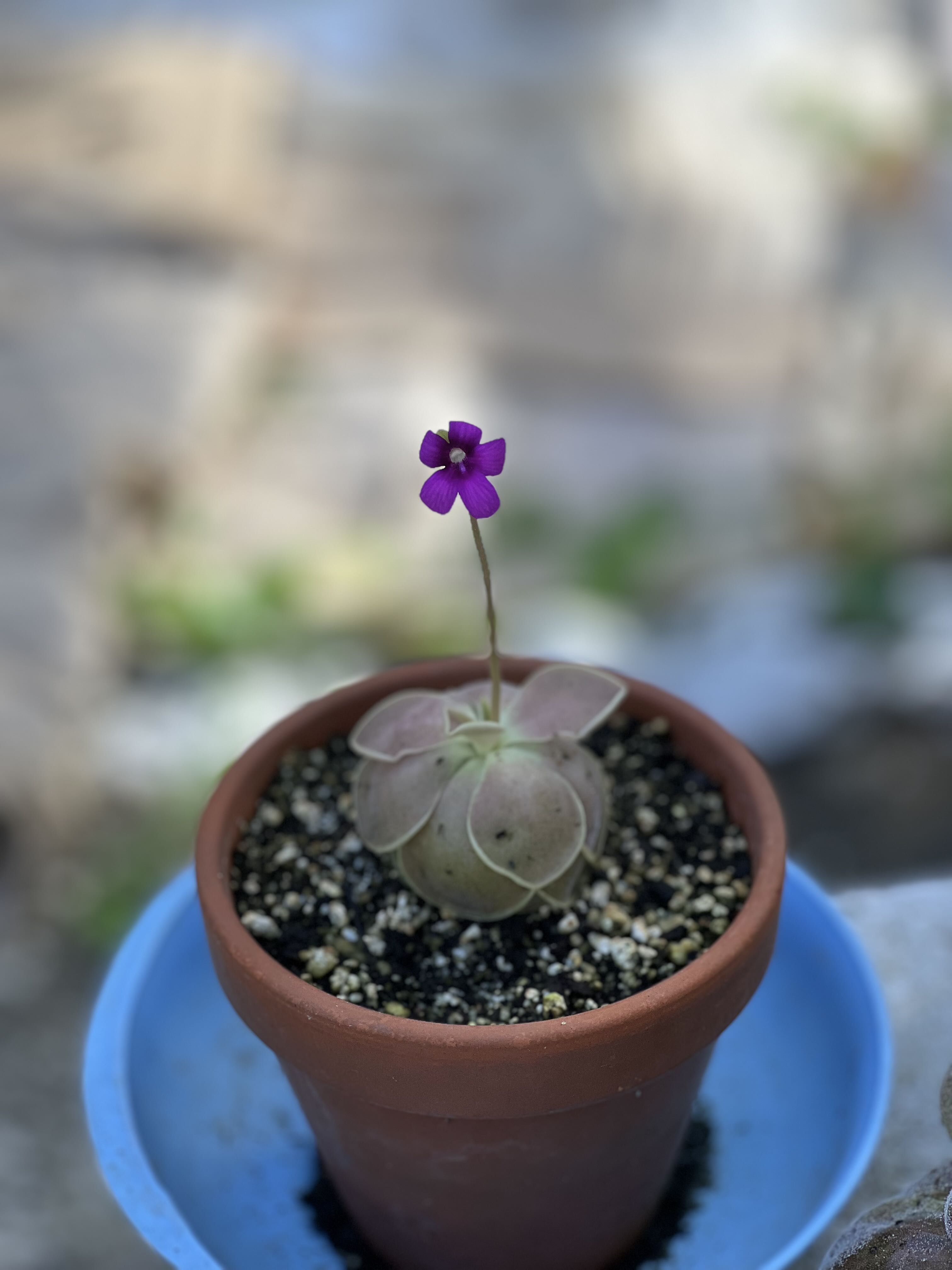 Photo from the post