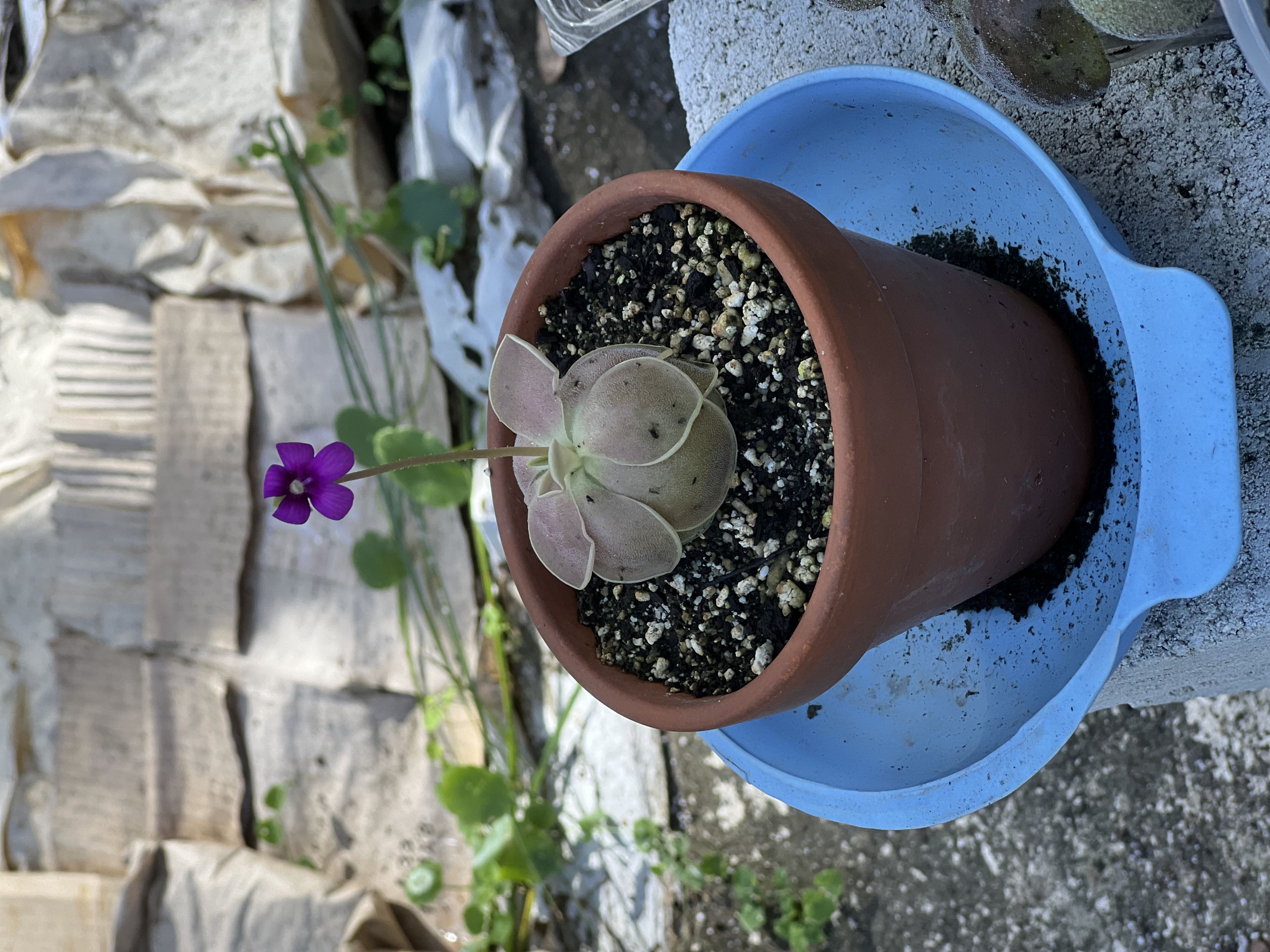 Photo from the post
