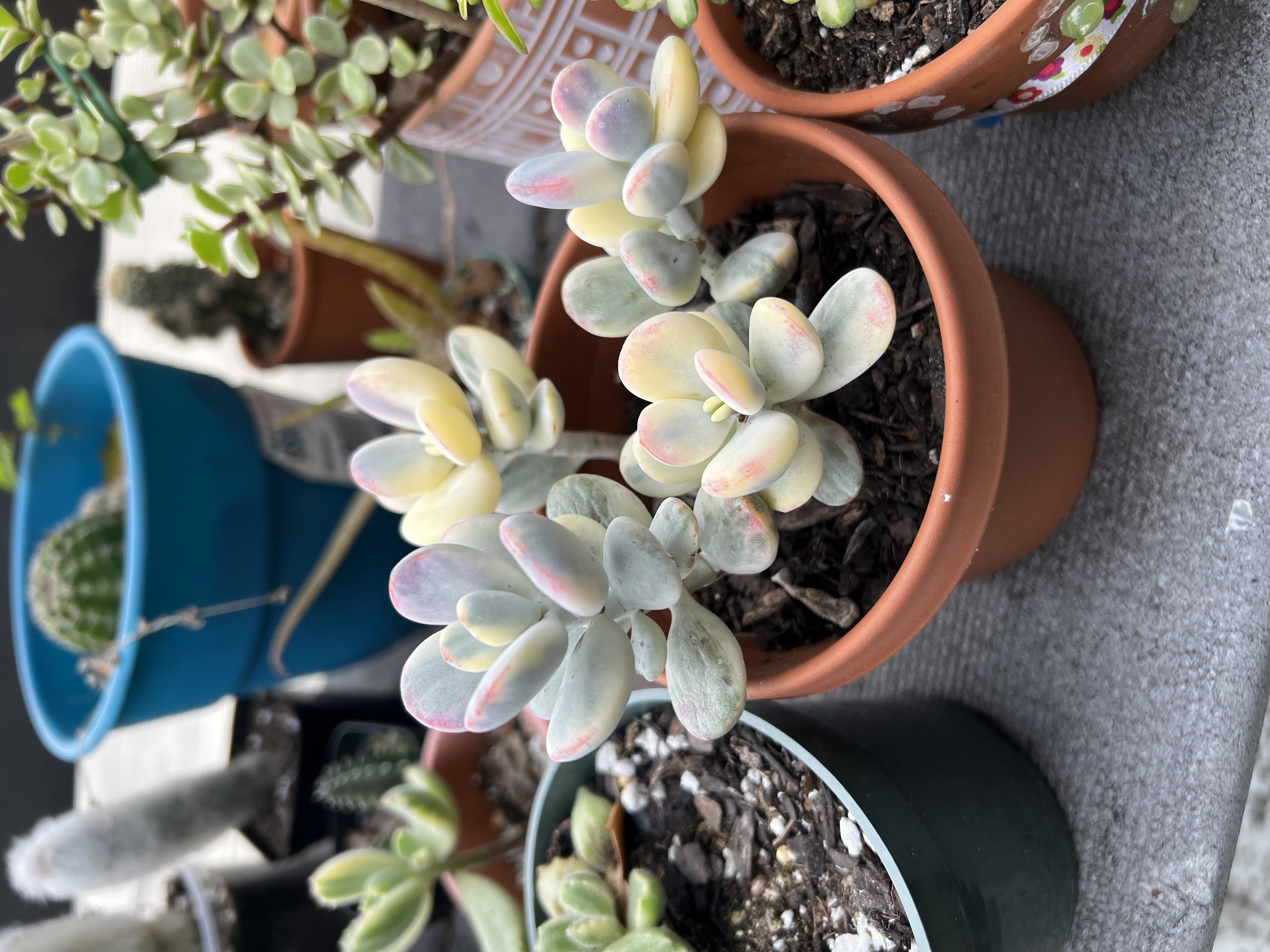 Photo from the post