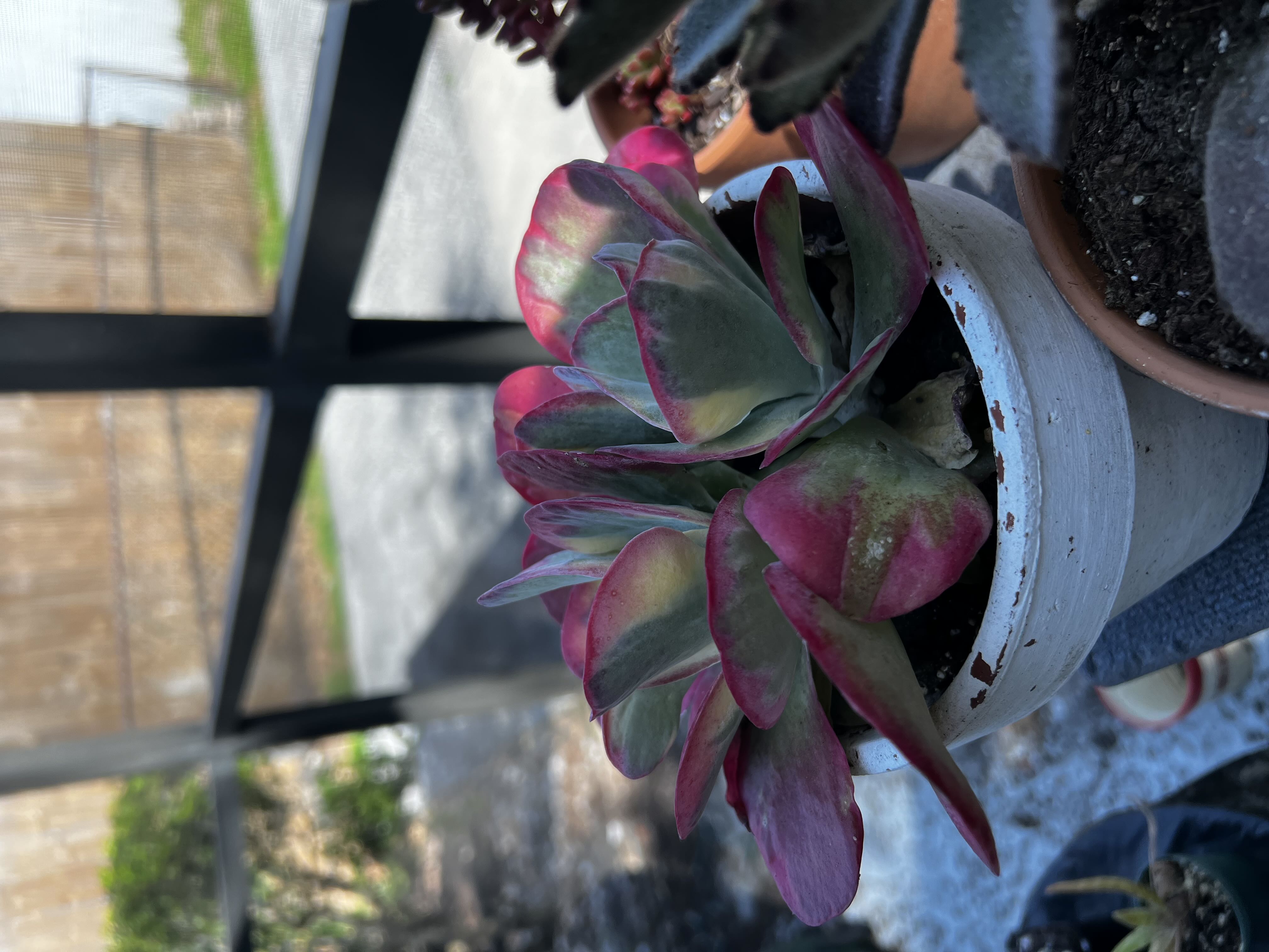 Photo from the post