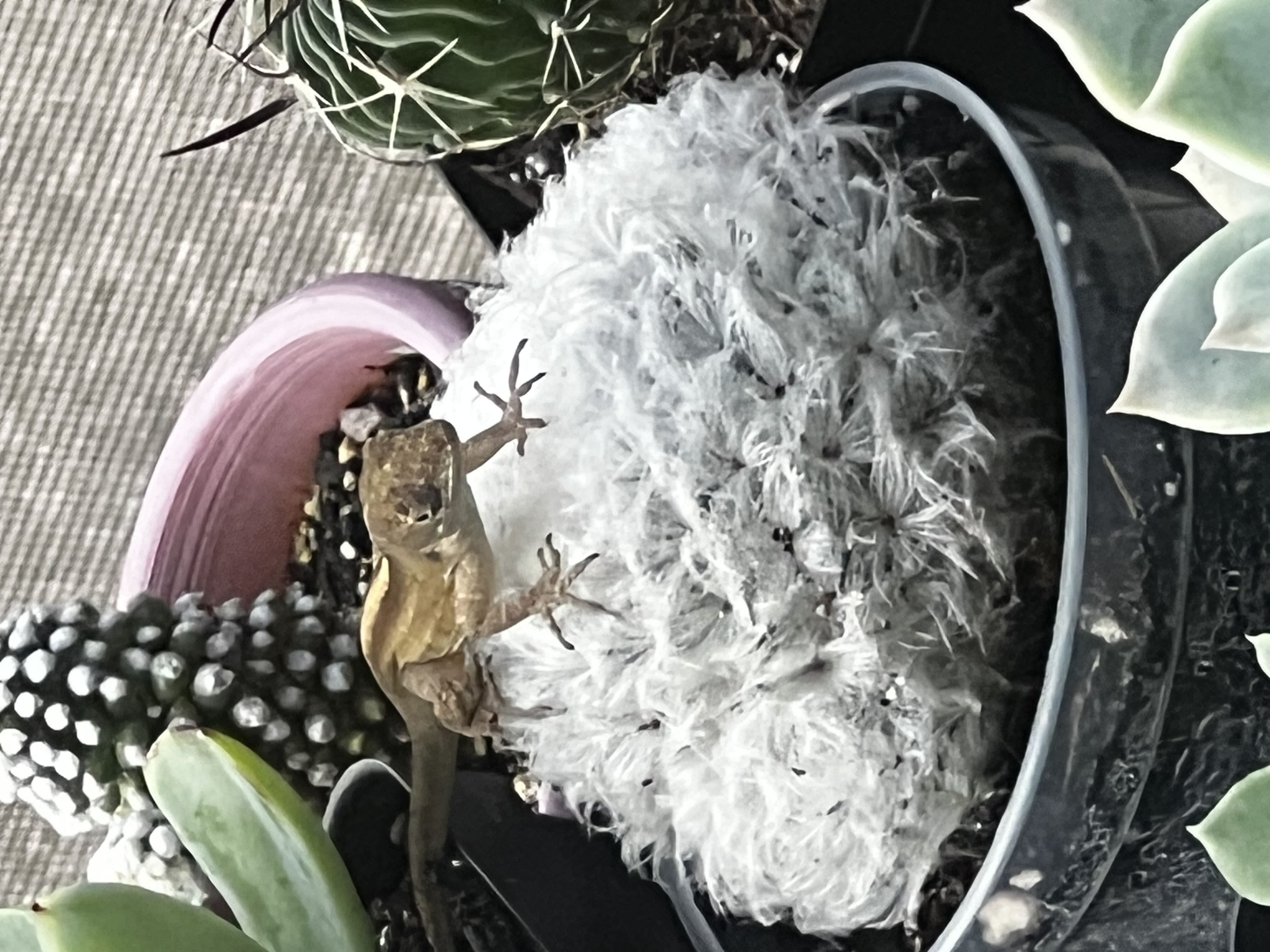 Photo from the post