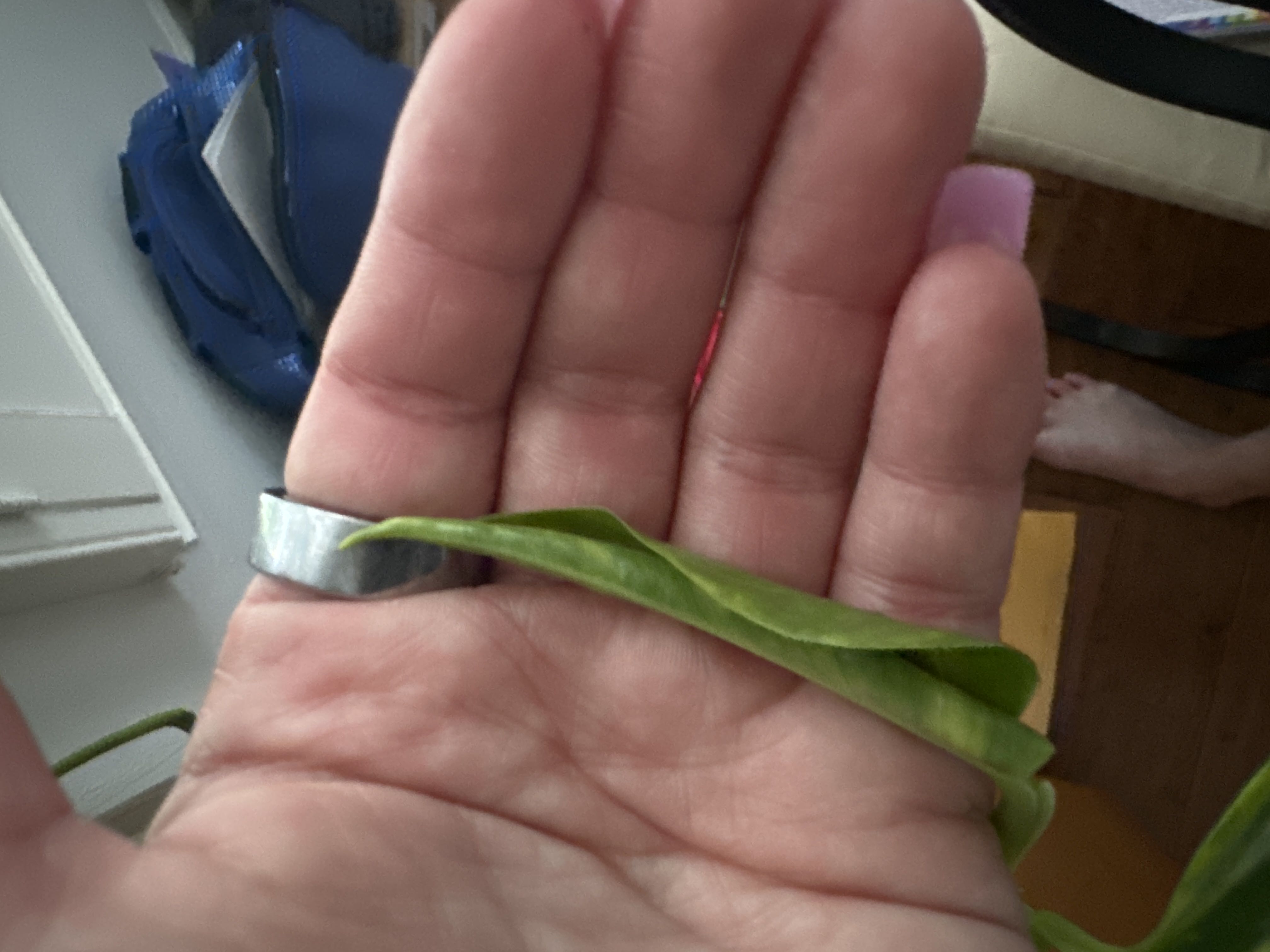 Photo from the post