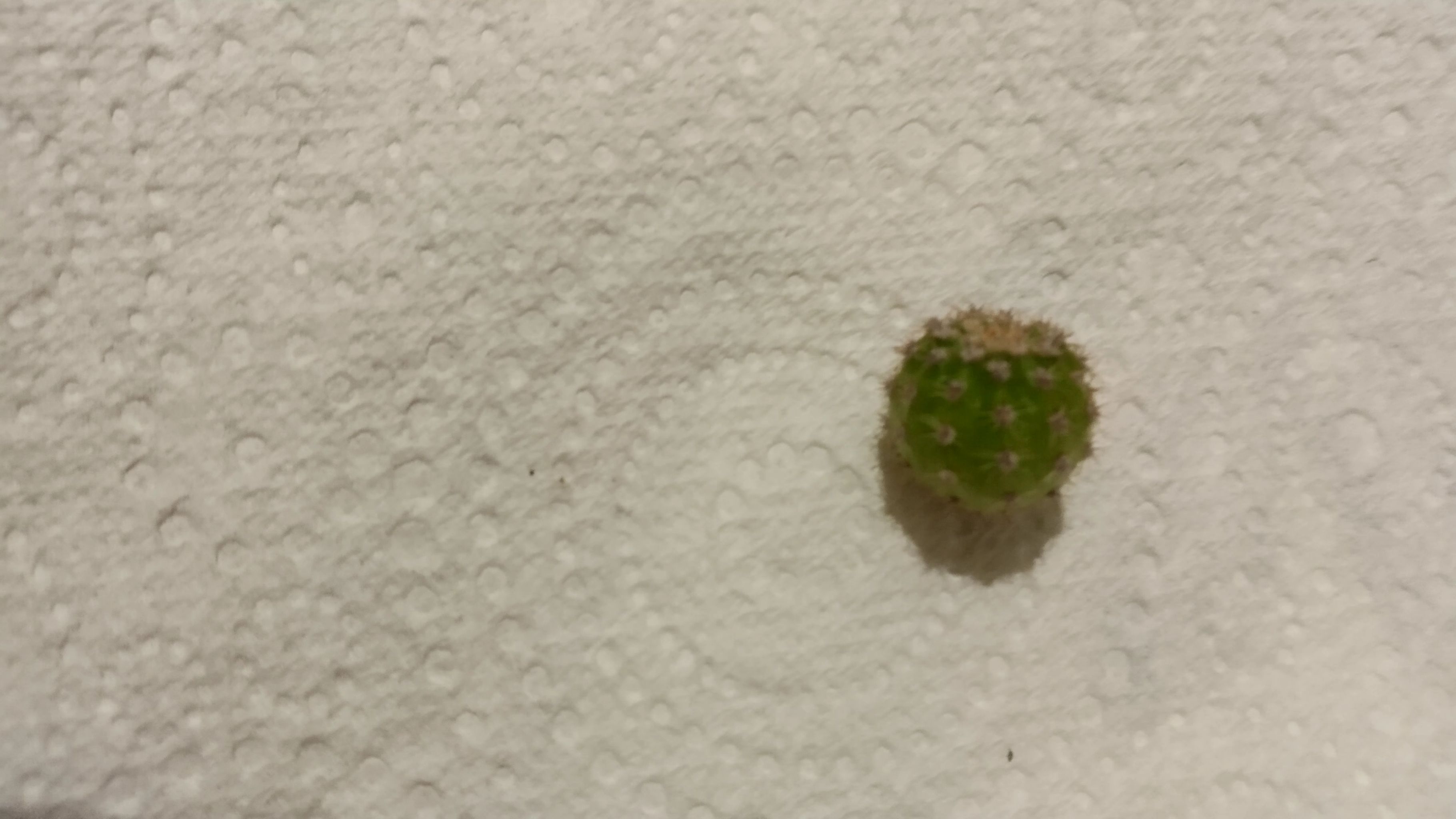 Photo from the post