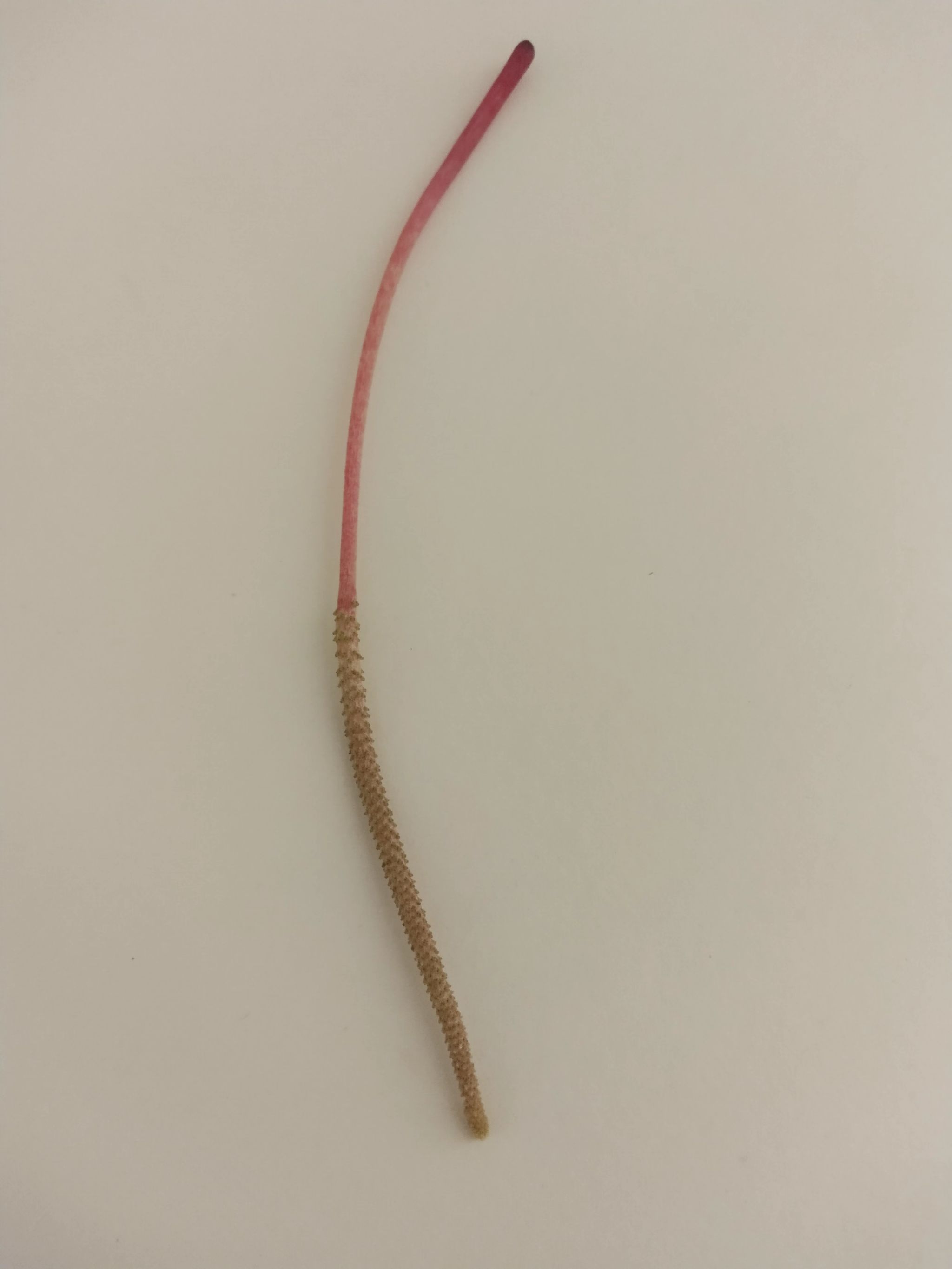 Photo from the post
