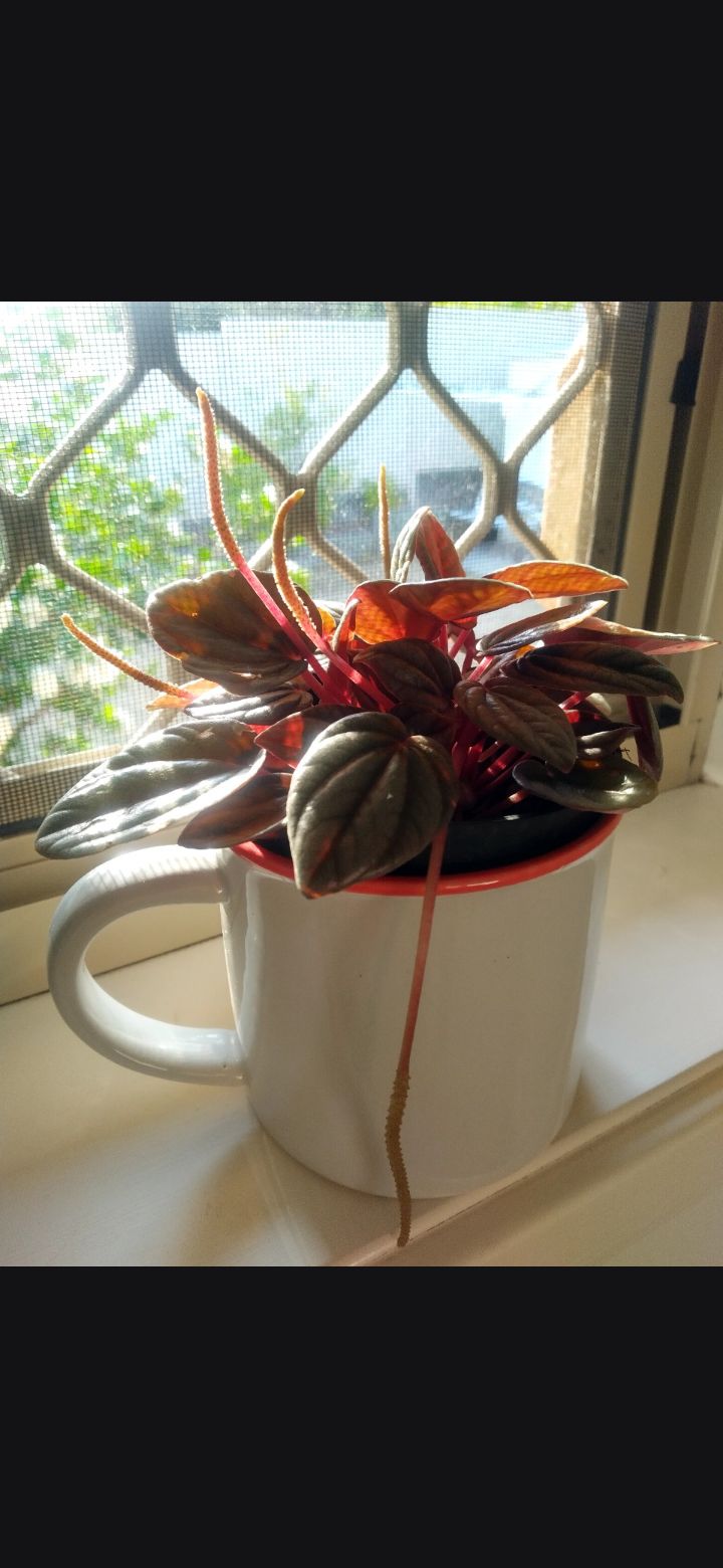 Photo from the post