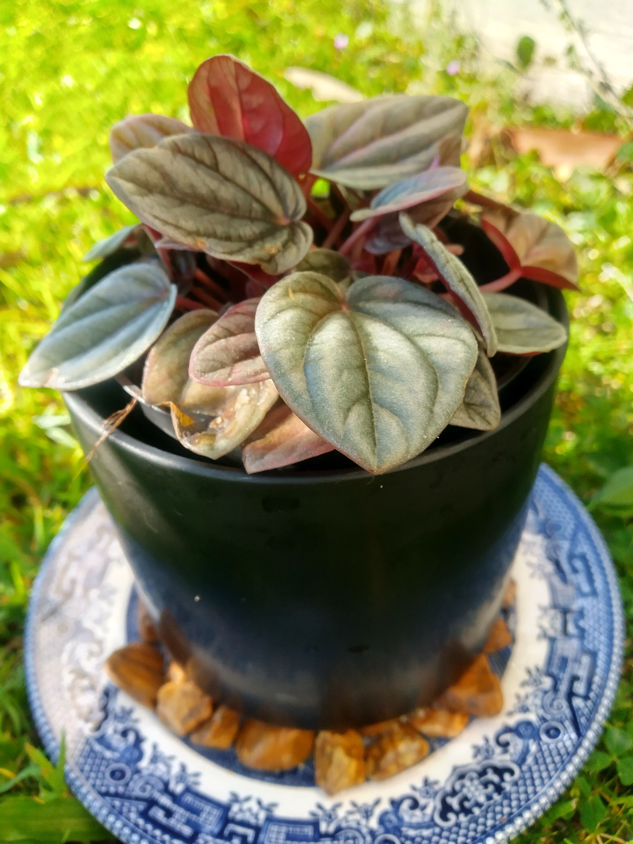Photo from the post