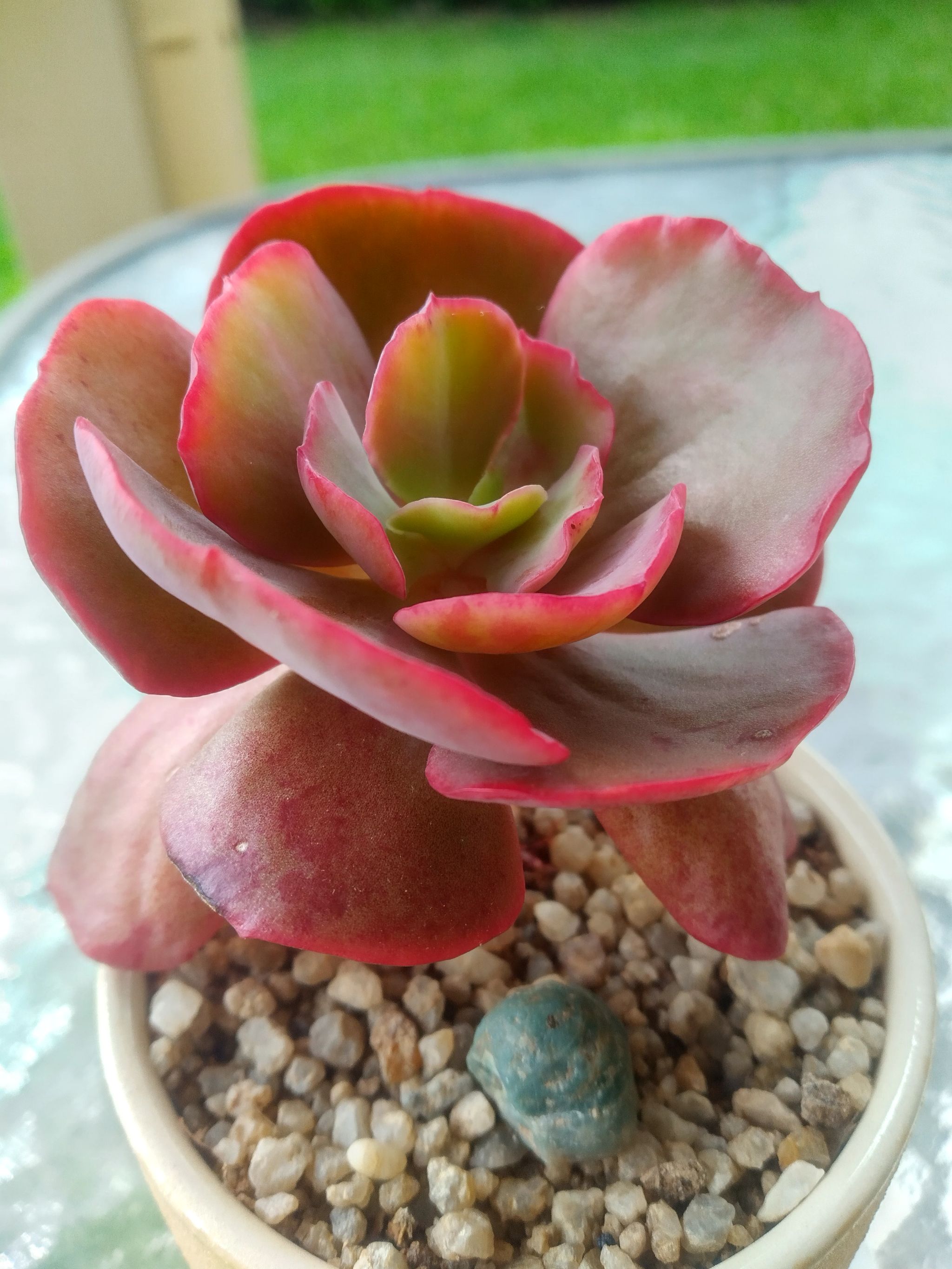 Photo from the post