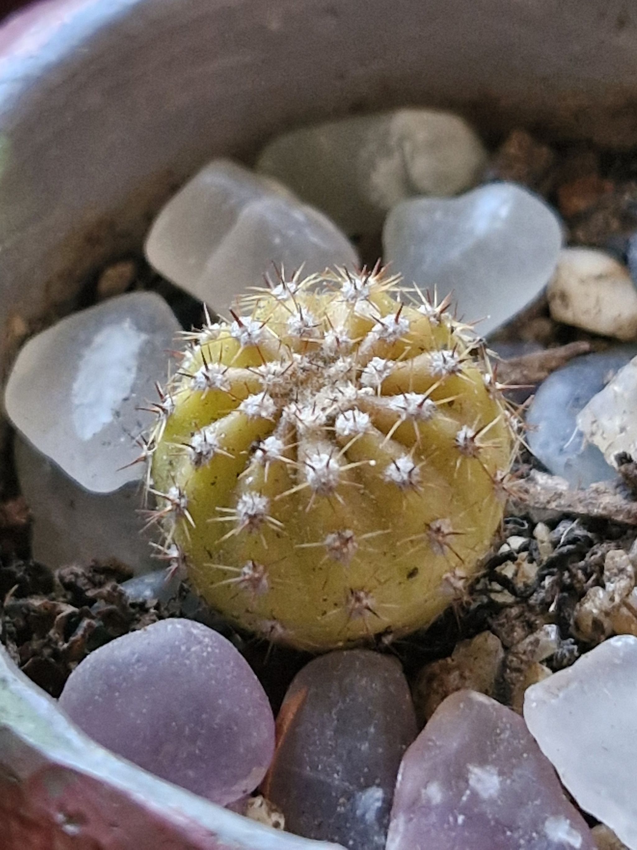Photo from the post