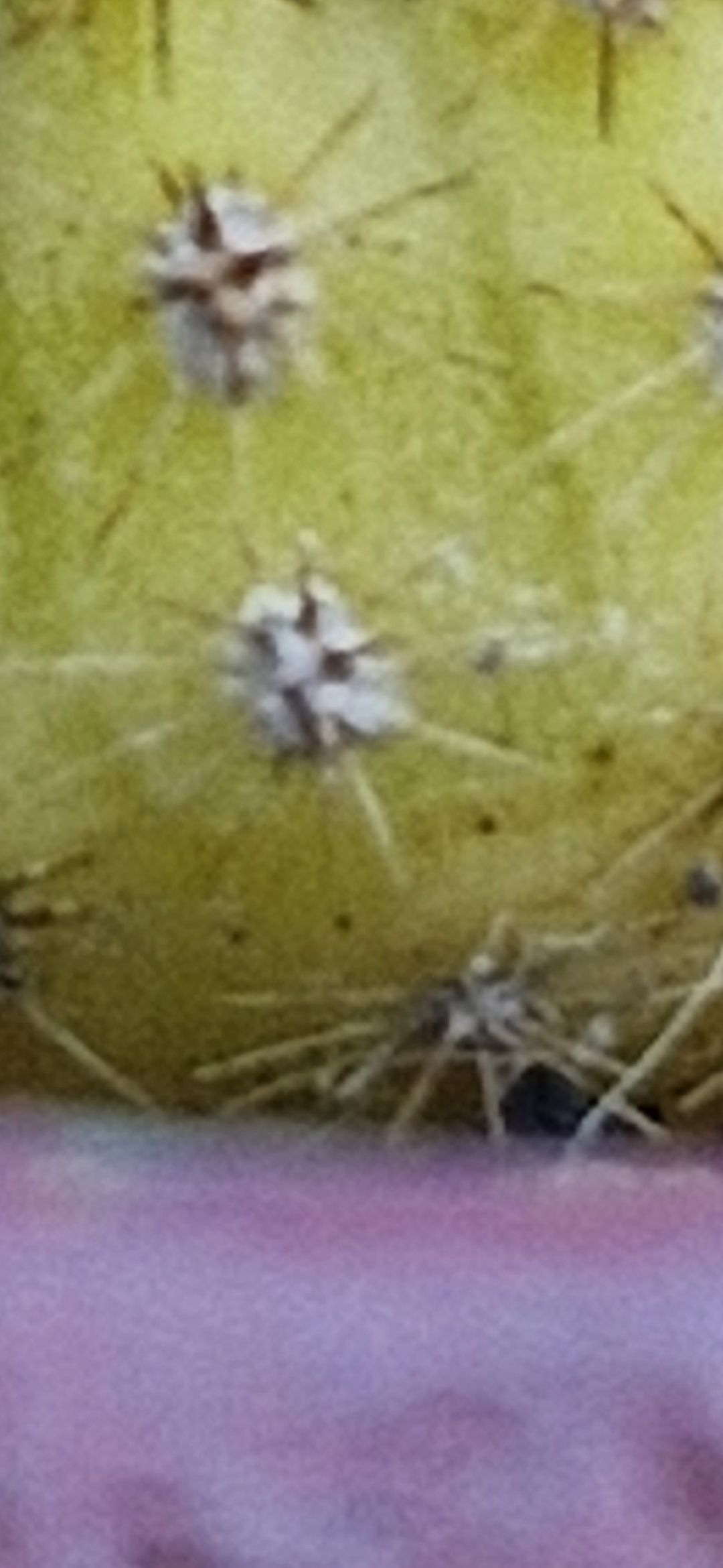 Photo from the post