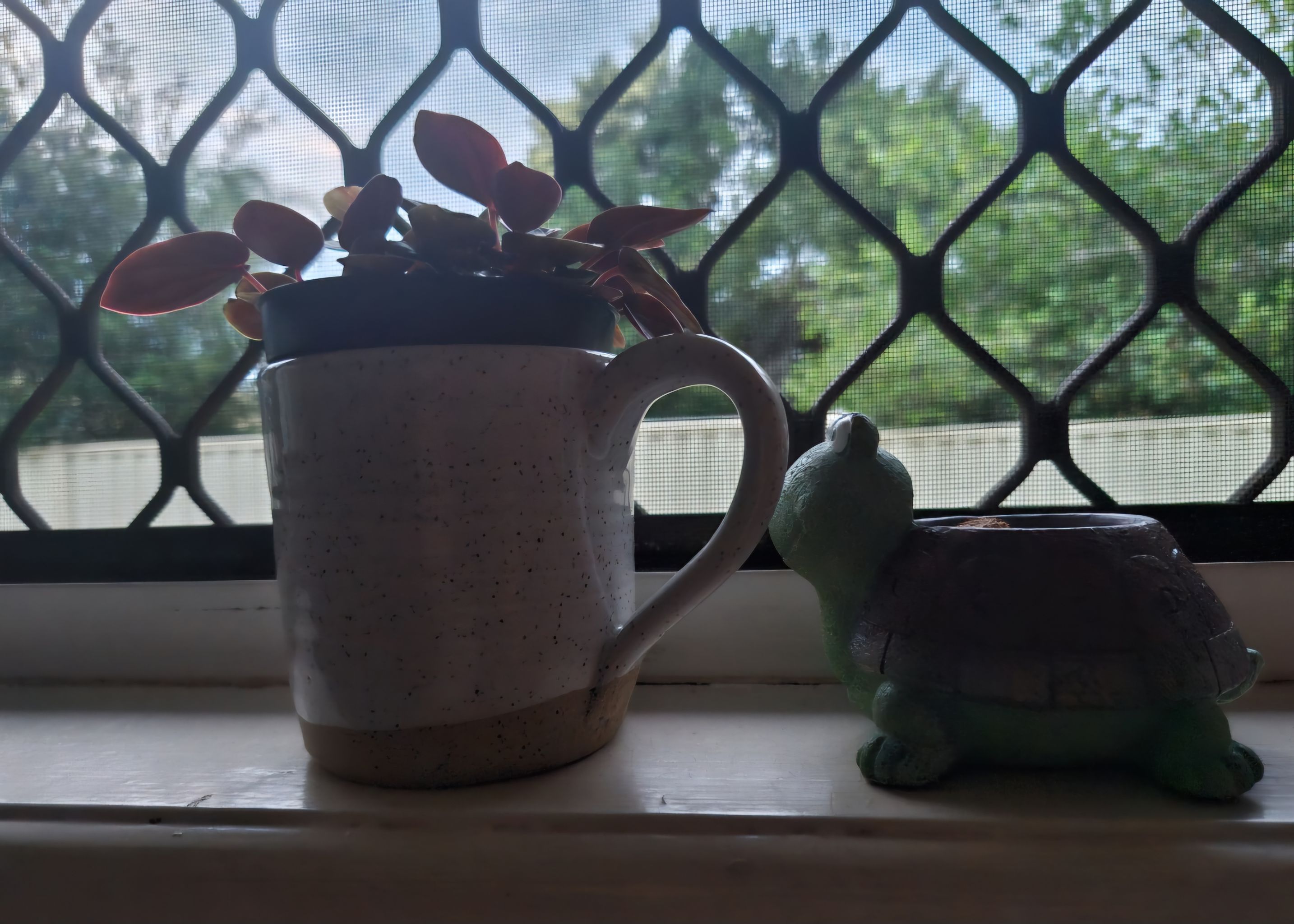 Photo from the post