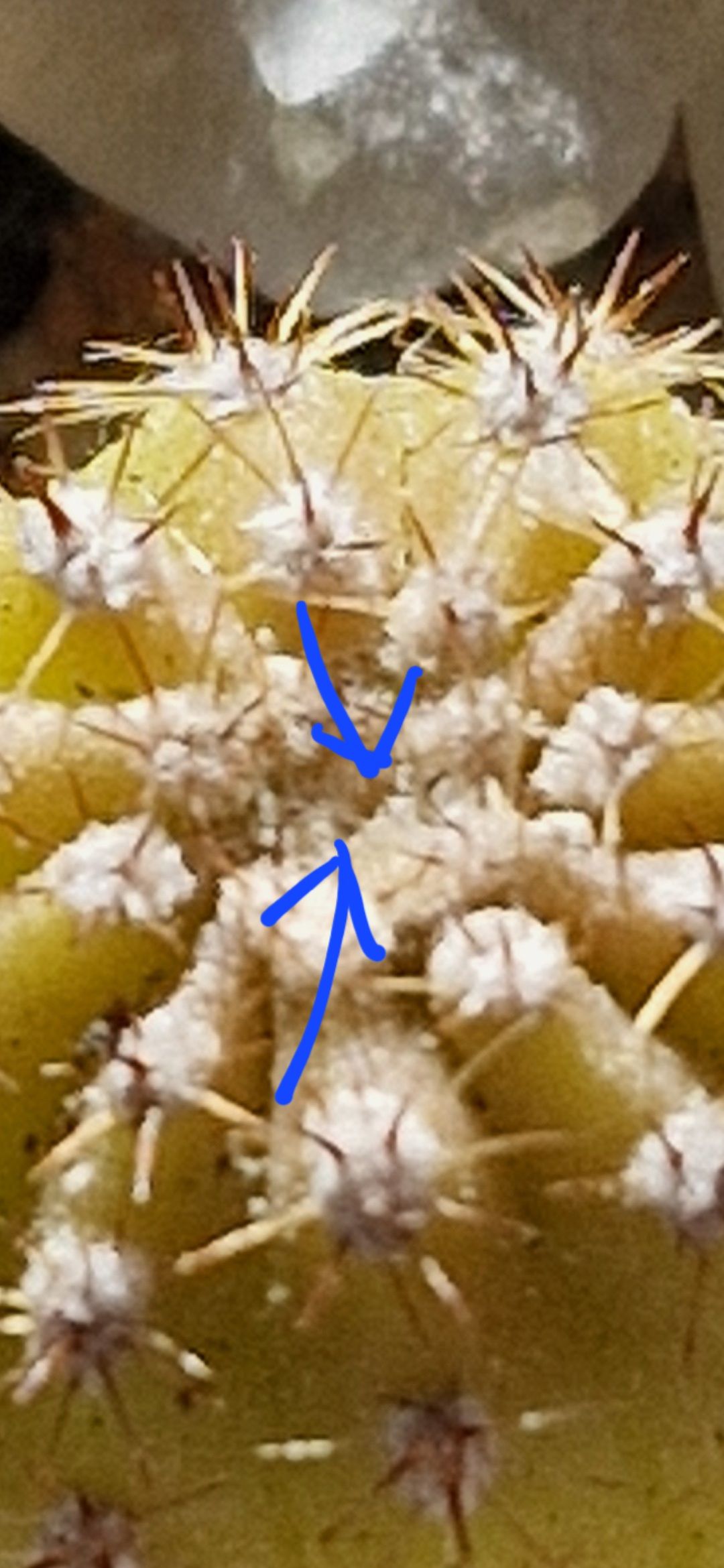 Photo from the post