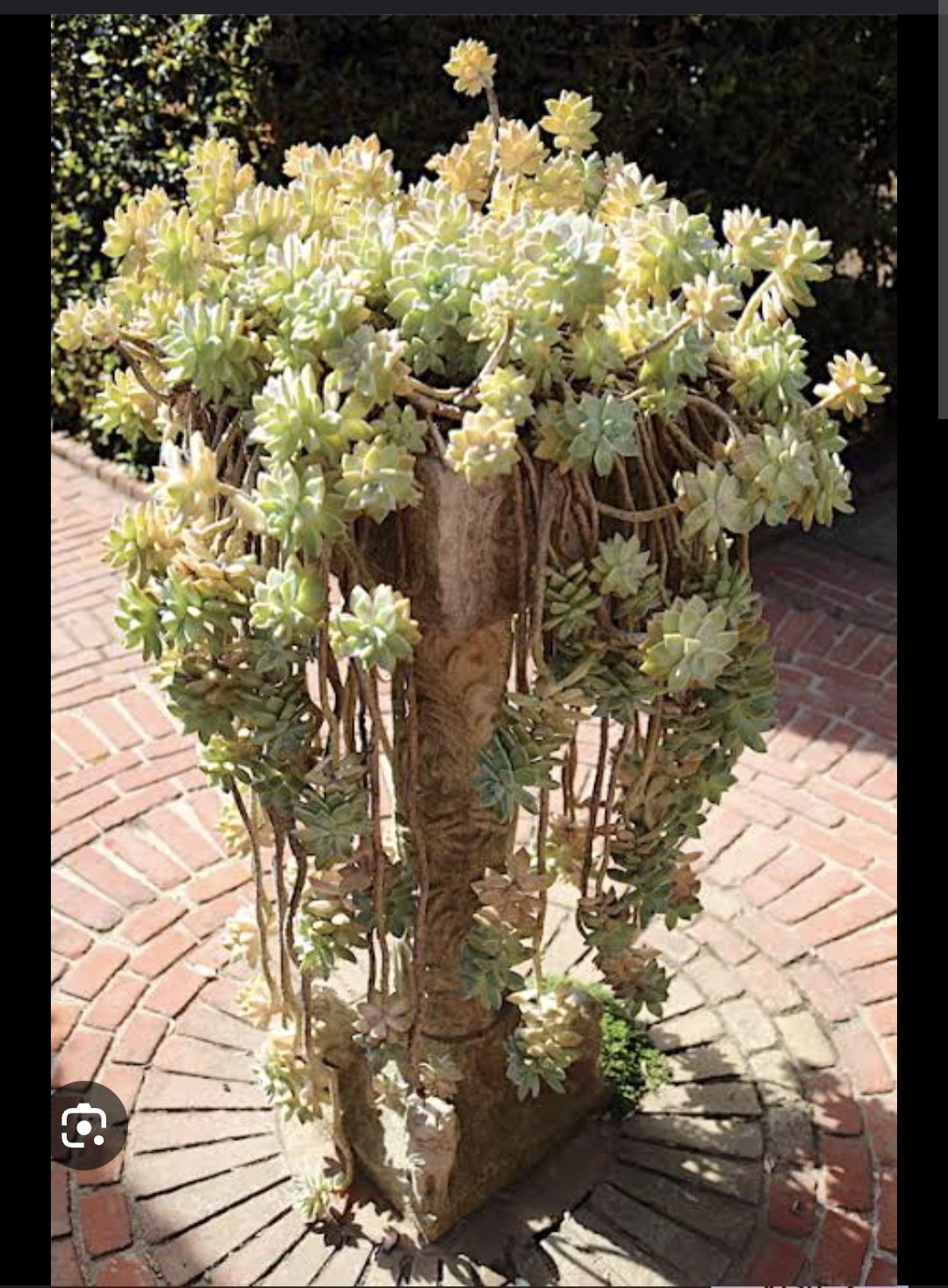 Photo from the post