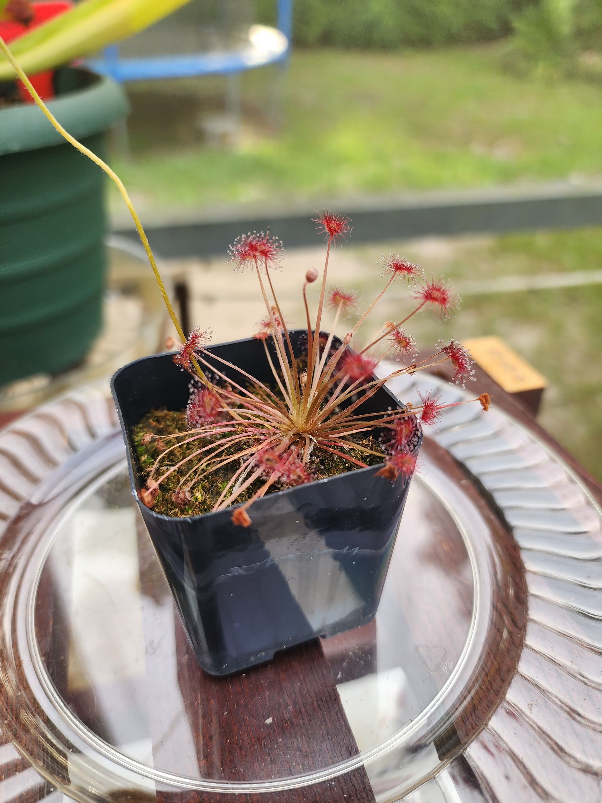 Photo from the post